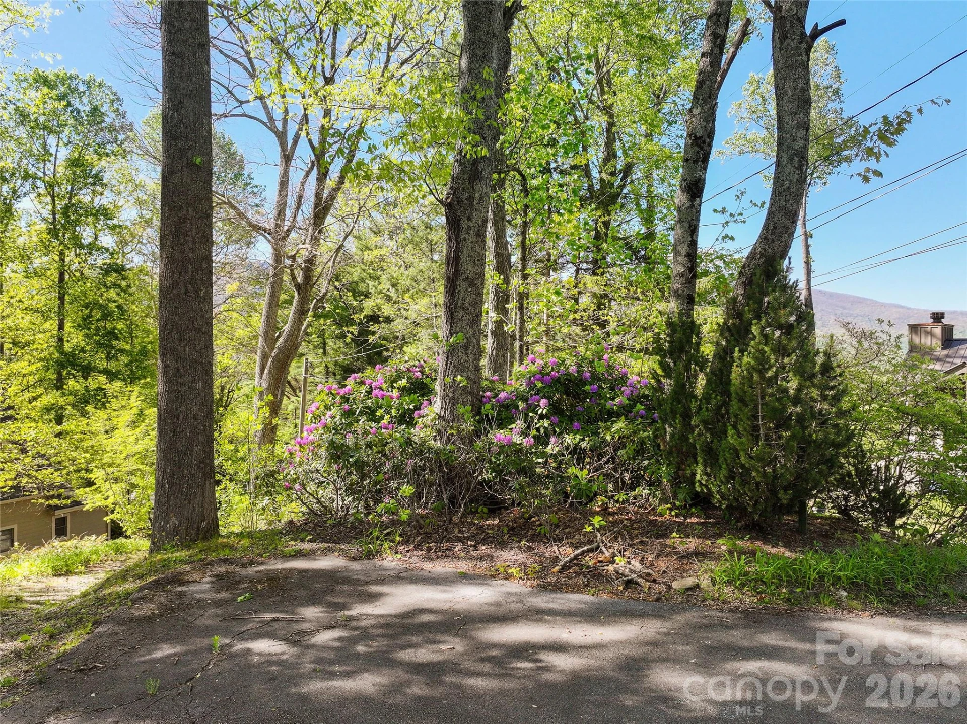 479 Old Dummy Line Road - Photo 37
