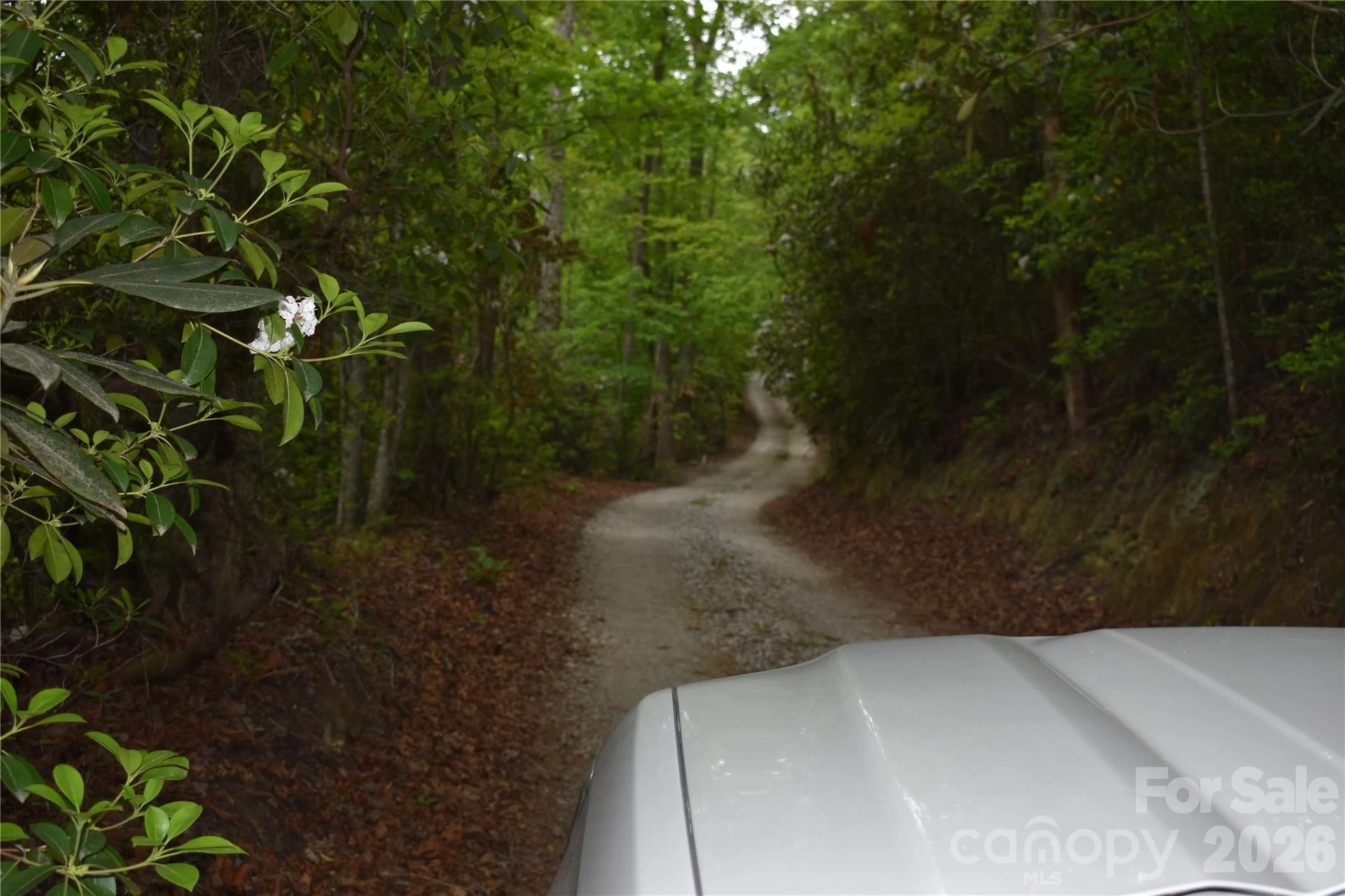 25 Triton Way - Photo 31