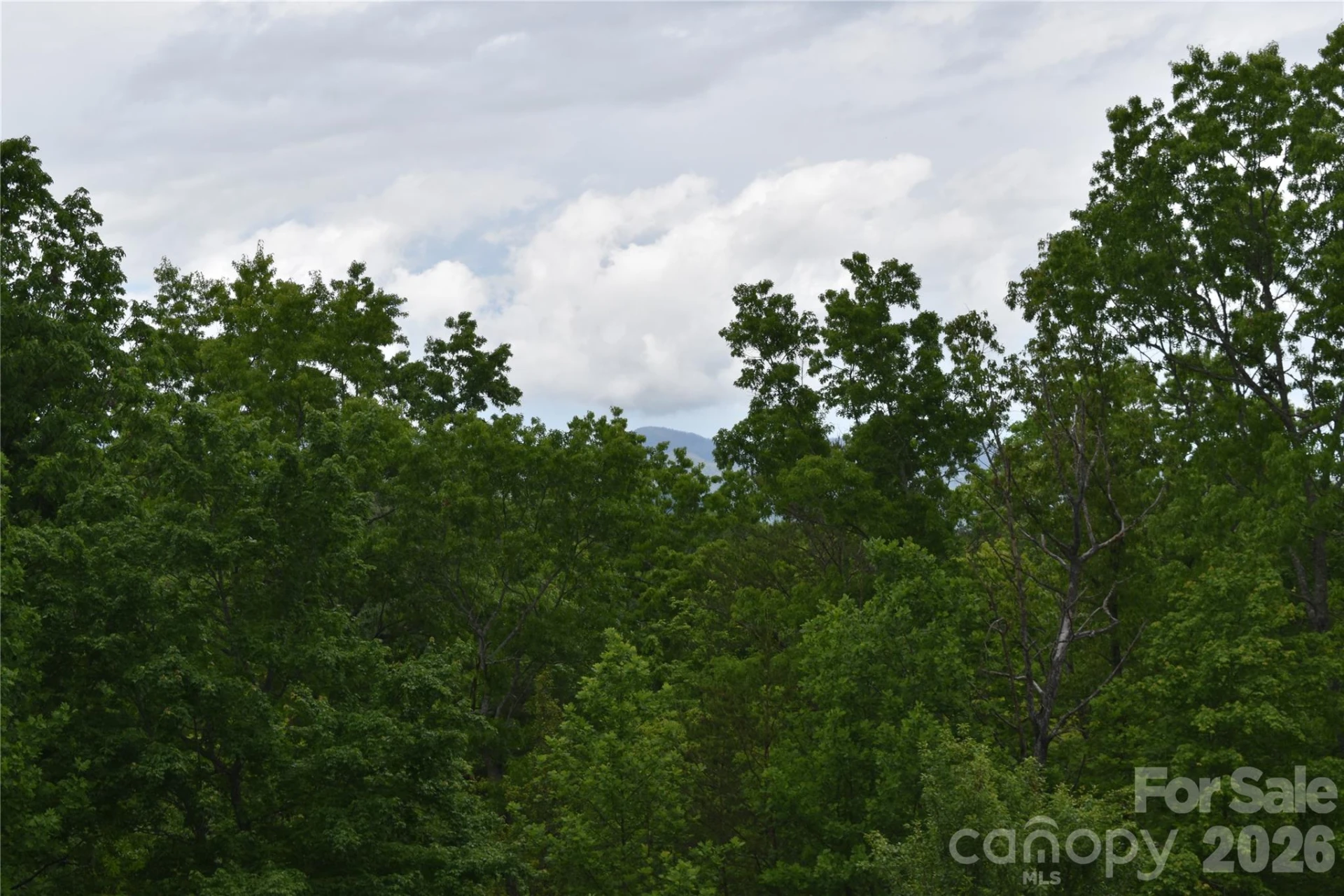 25 Triton Way - Photo 33