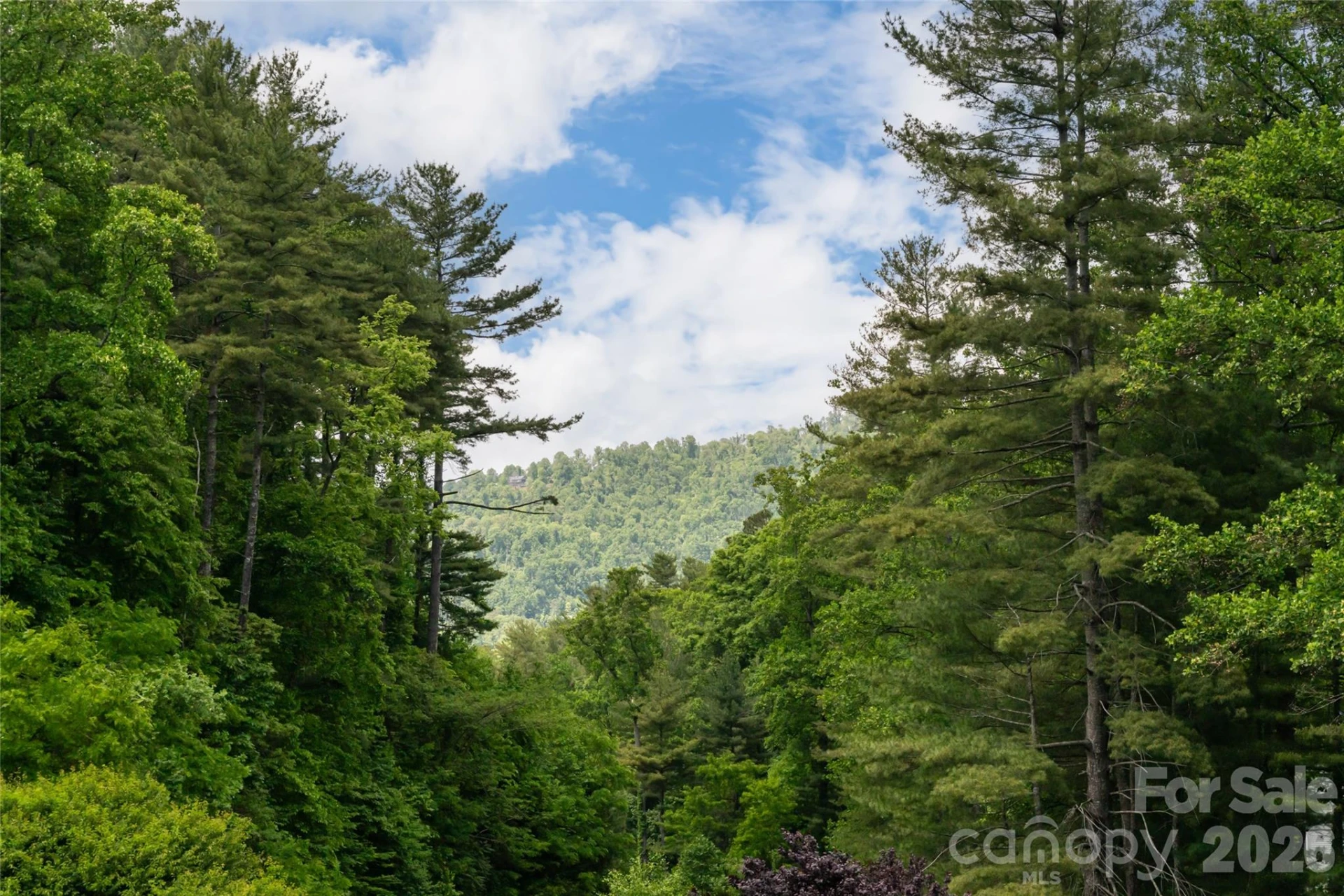 44 Woodland Aster Way - Photo 20