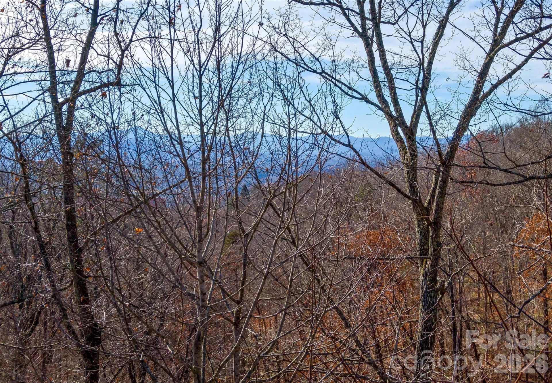 101 Reservoir Road - Photo 4