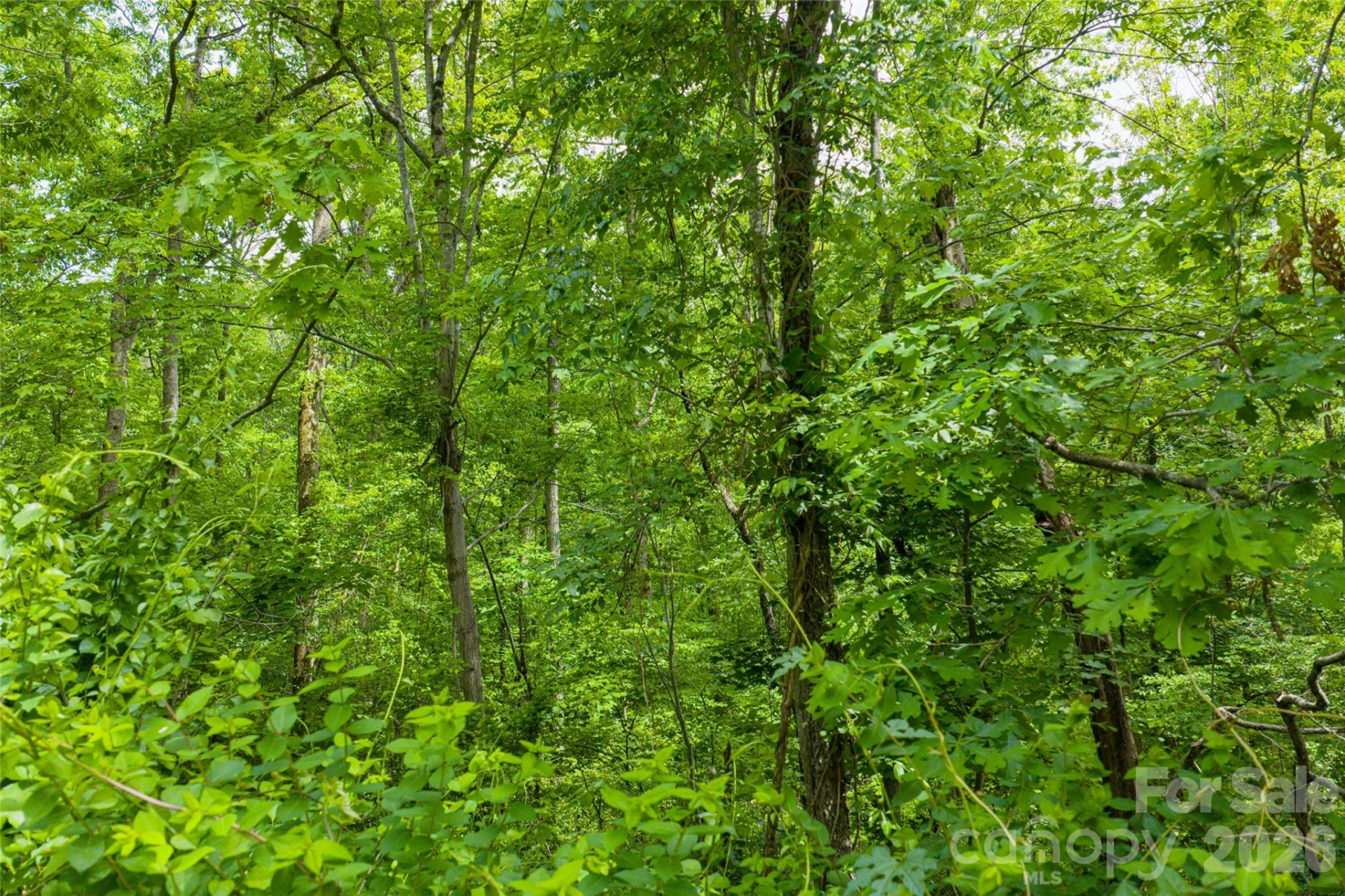 101 Reservoir Road - Photo 8