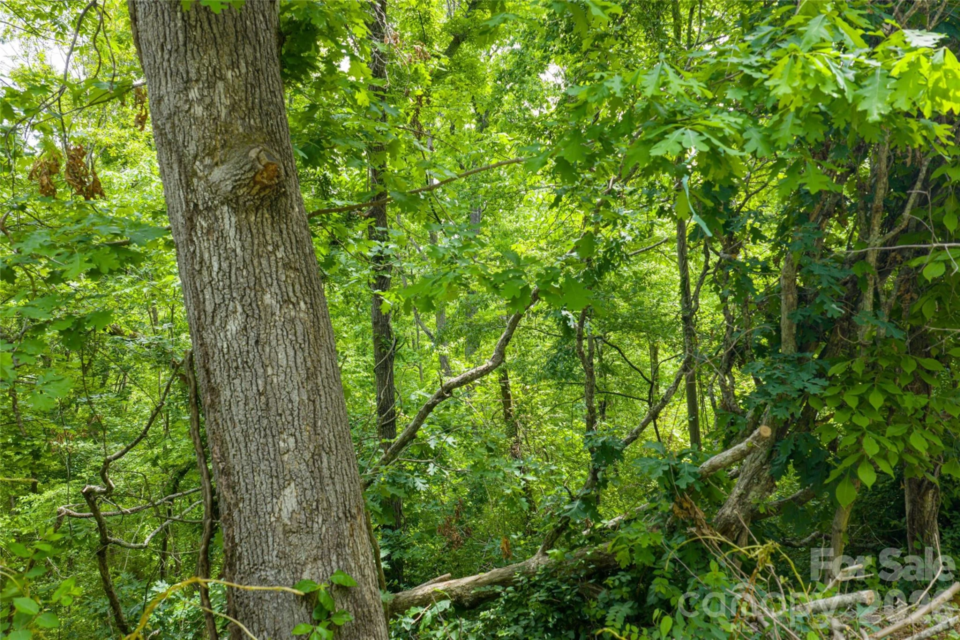101 Reservoir Road - Photo 9