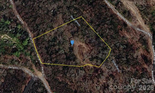 48 Black Rock Ranch Road, Sylva, NC, 28779