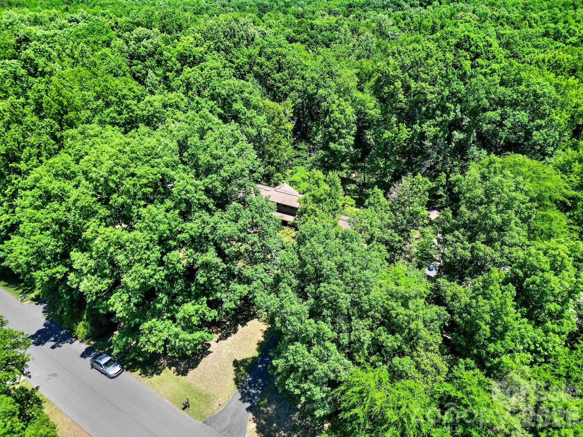 11510 Gelding Drive - Photo 40