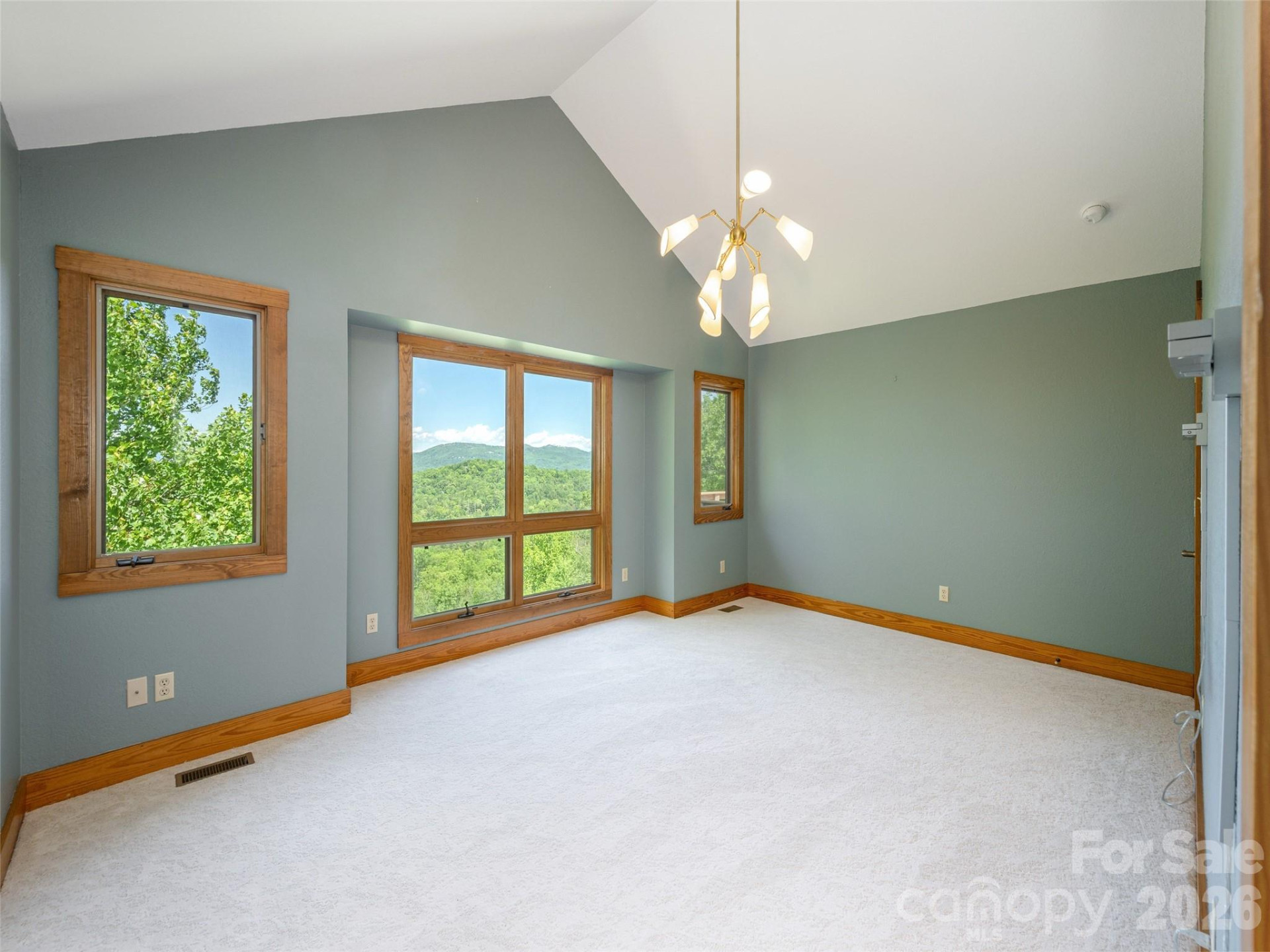 35 Carriage Forest Court - Photo 21