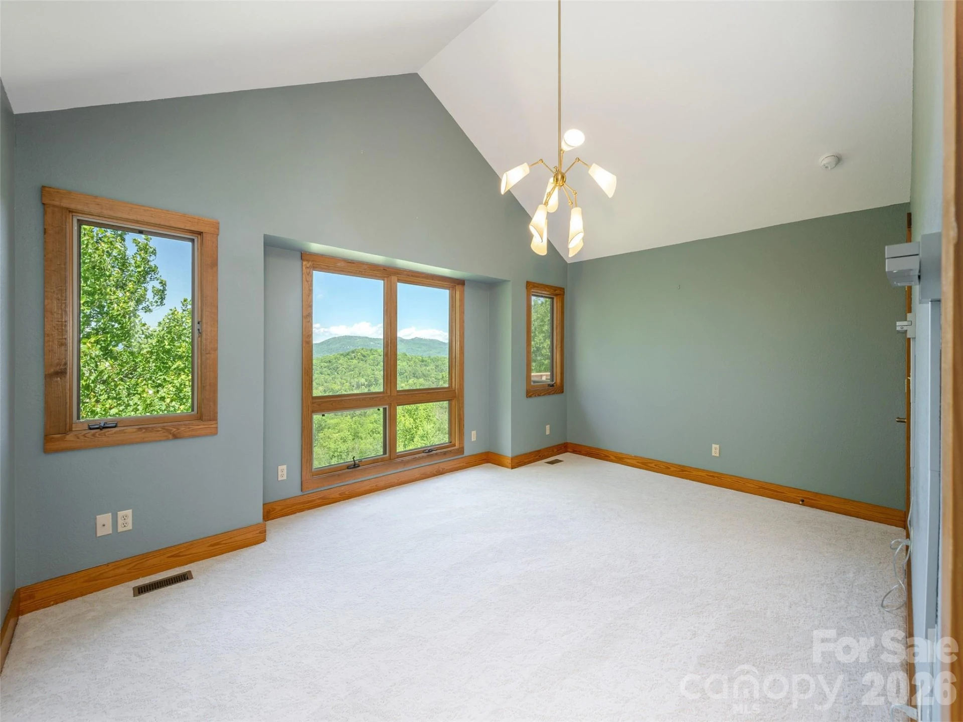 35 Carriage Forest Court - Photo 21