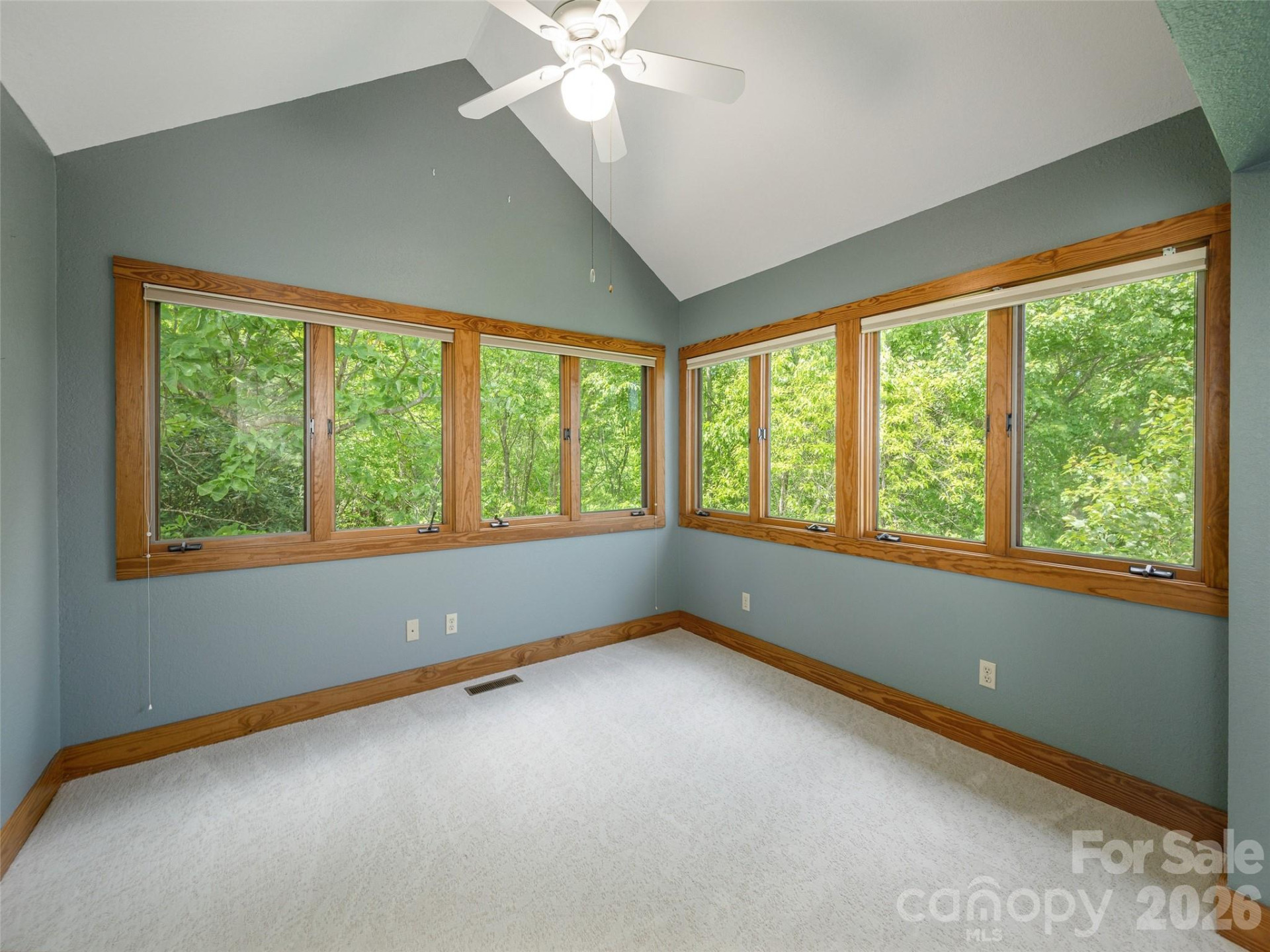 35 Carriage Forest Court - Photo 27