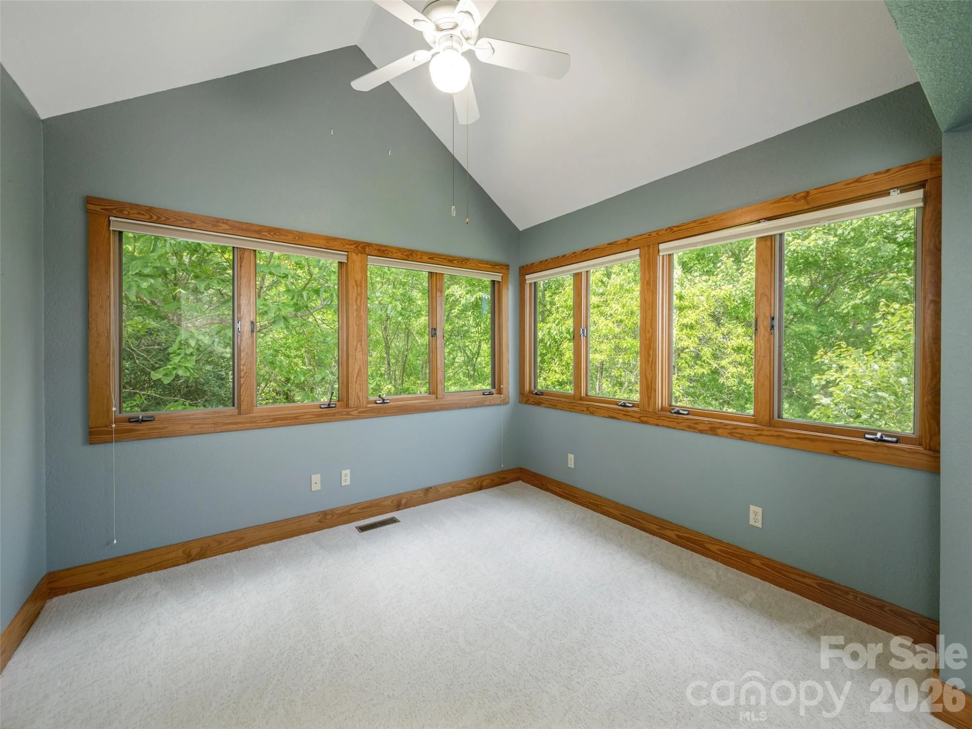 35 Carriage Forest Court - Photo 27