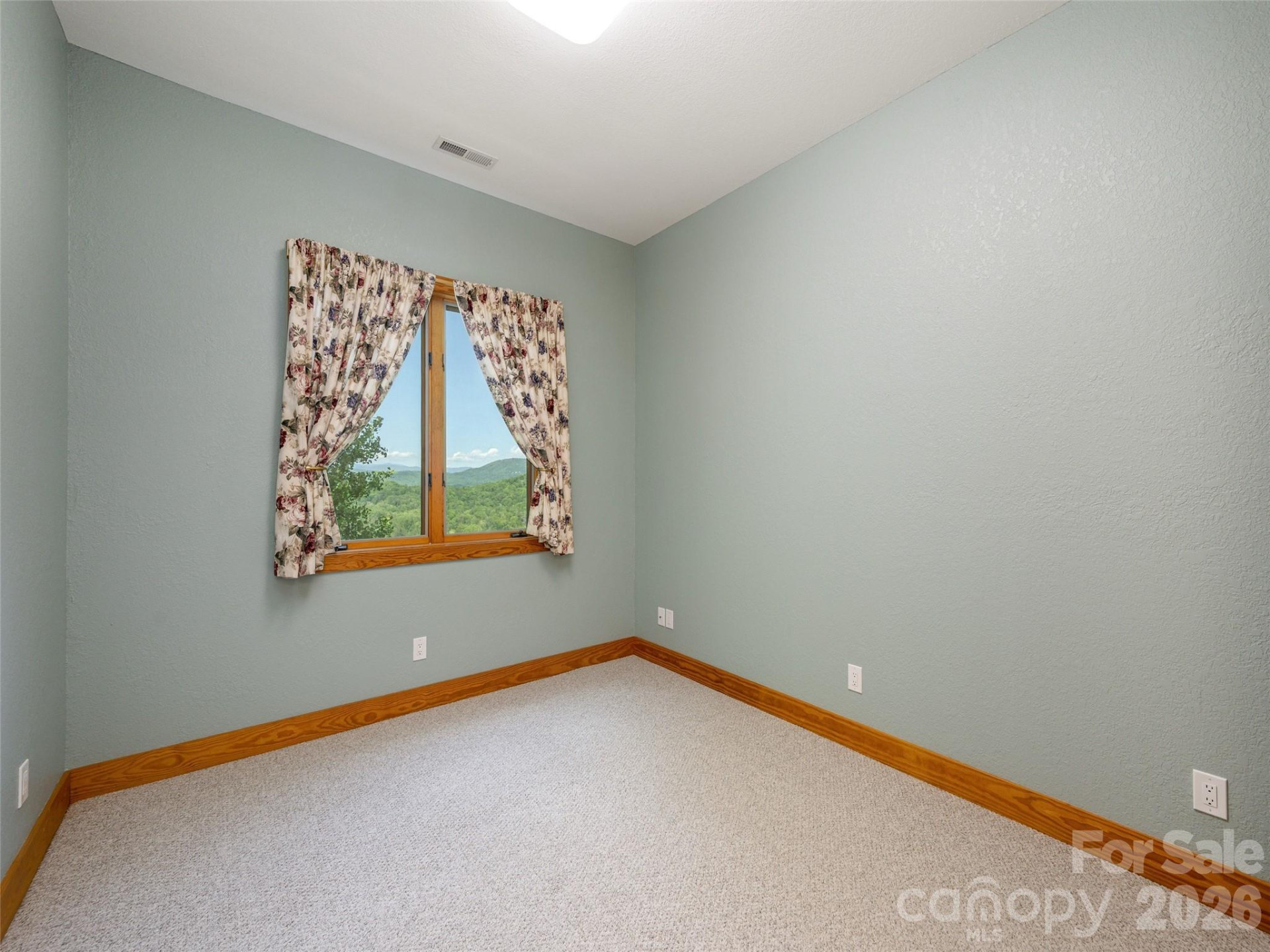 35 Carriage Forest Court - Photo 32
