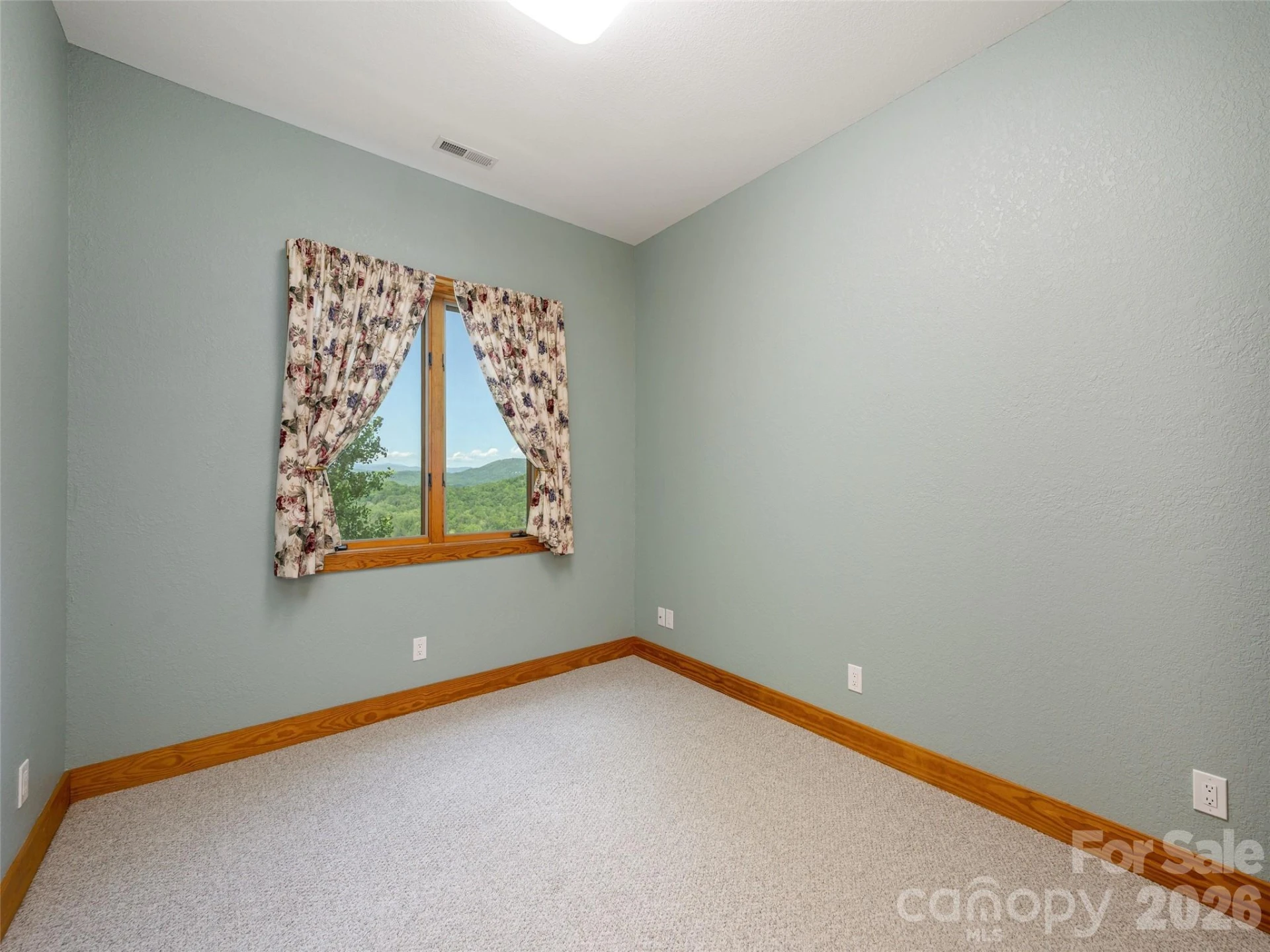 35 Carriage Forest Court - Photo 32
