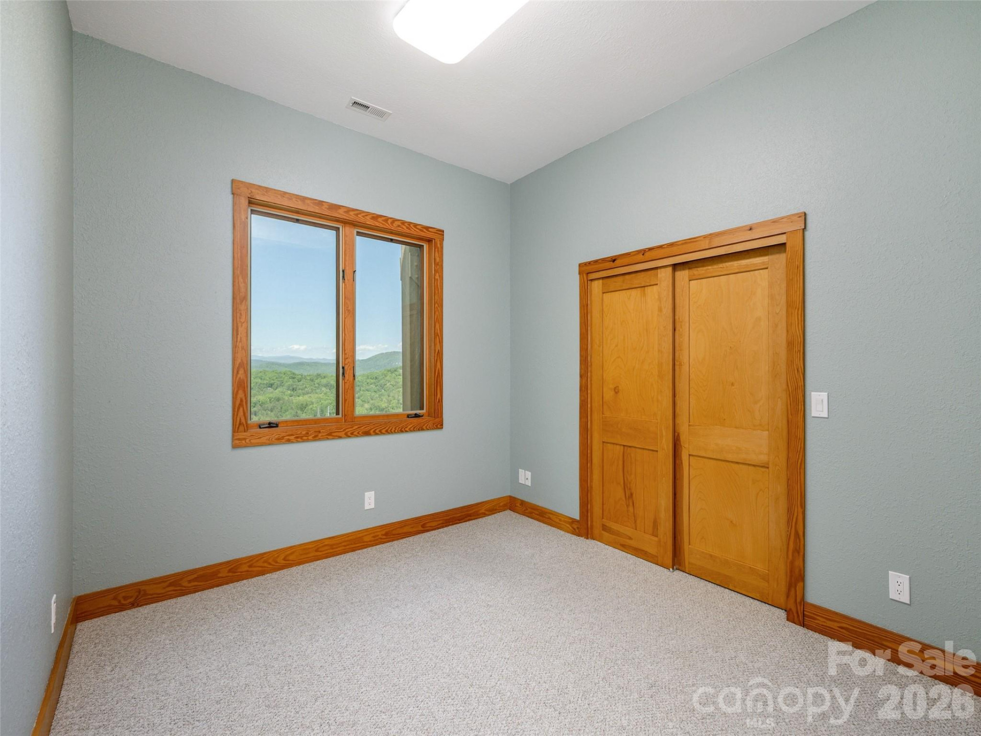 35 Carriage Forest Court - Photo 34