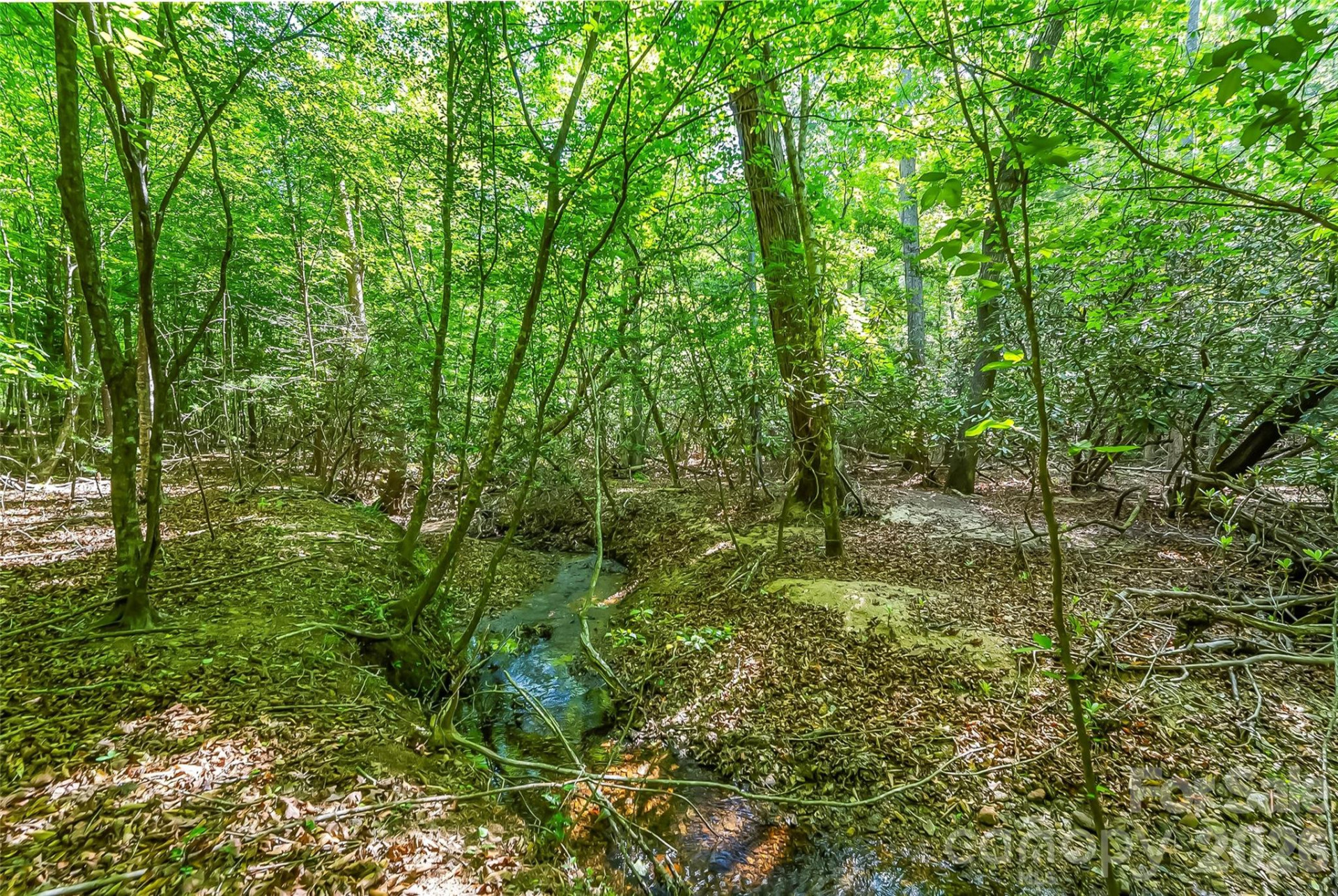3495 Irish Hills Road #3 - Photo 16