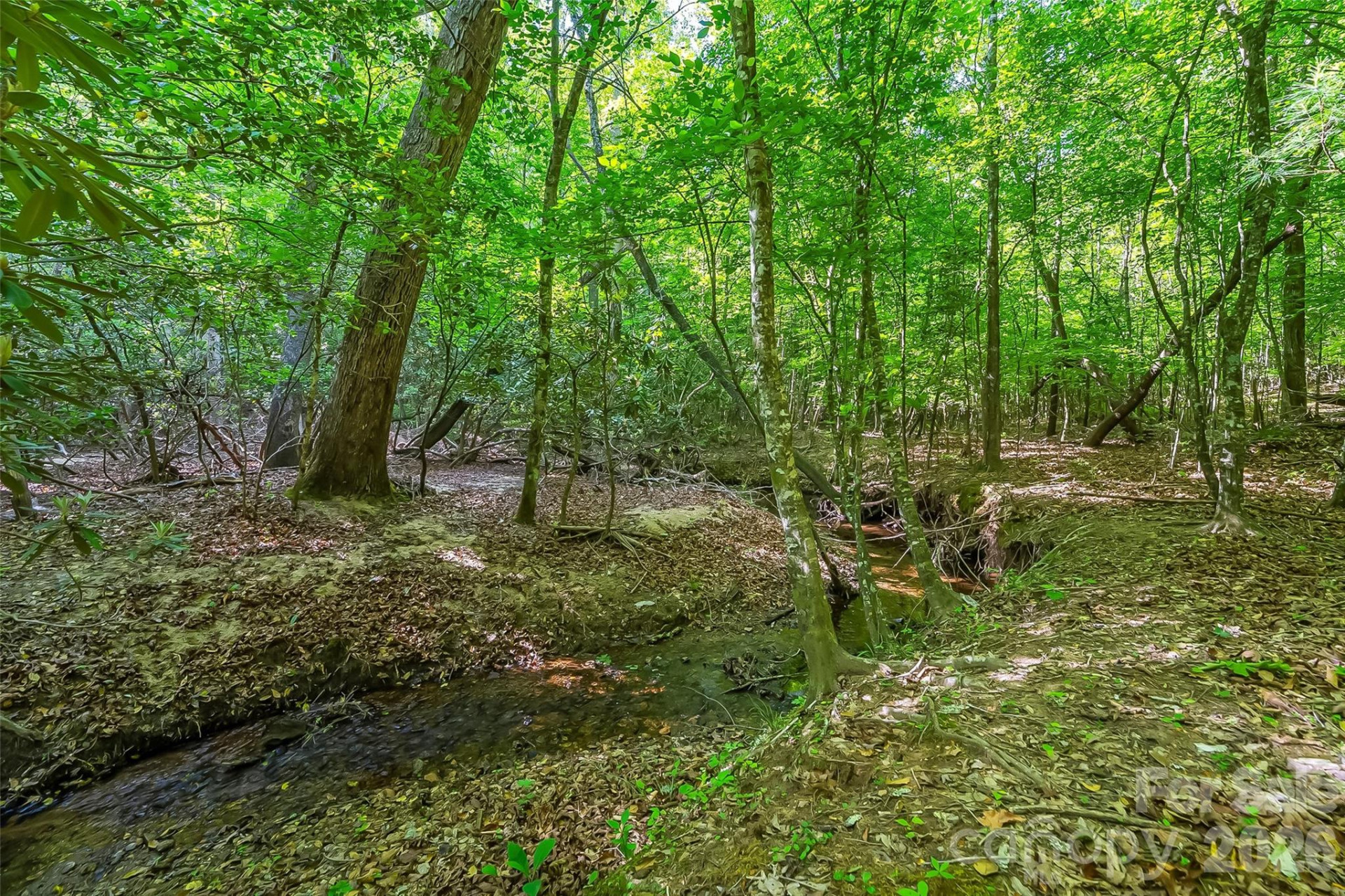 3495 Irish Hills Road #3 - Photo 18