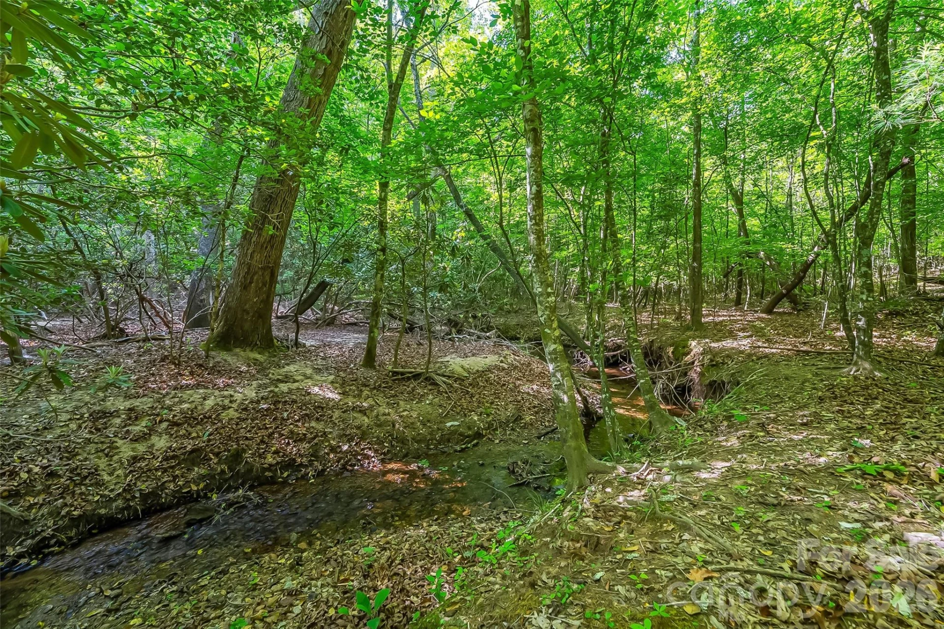3495 Irish Hills Road #3 - Photo 18