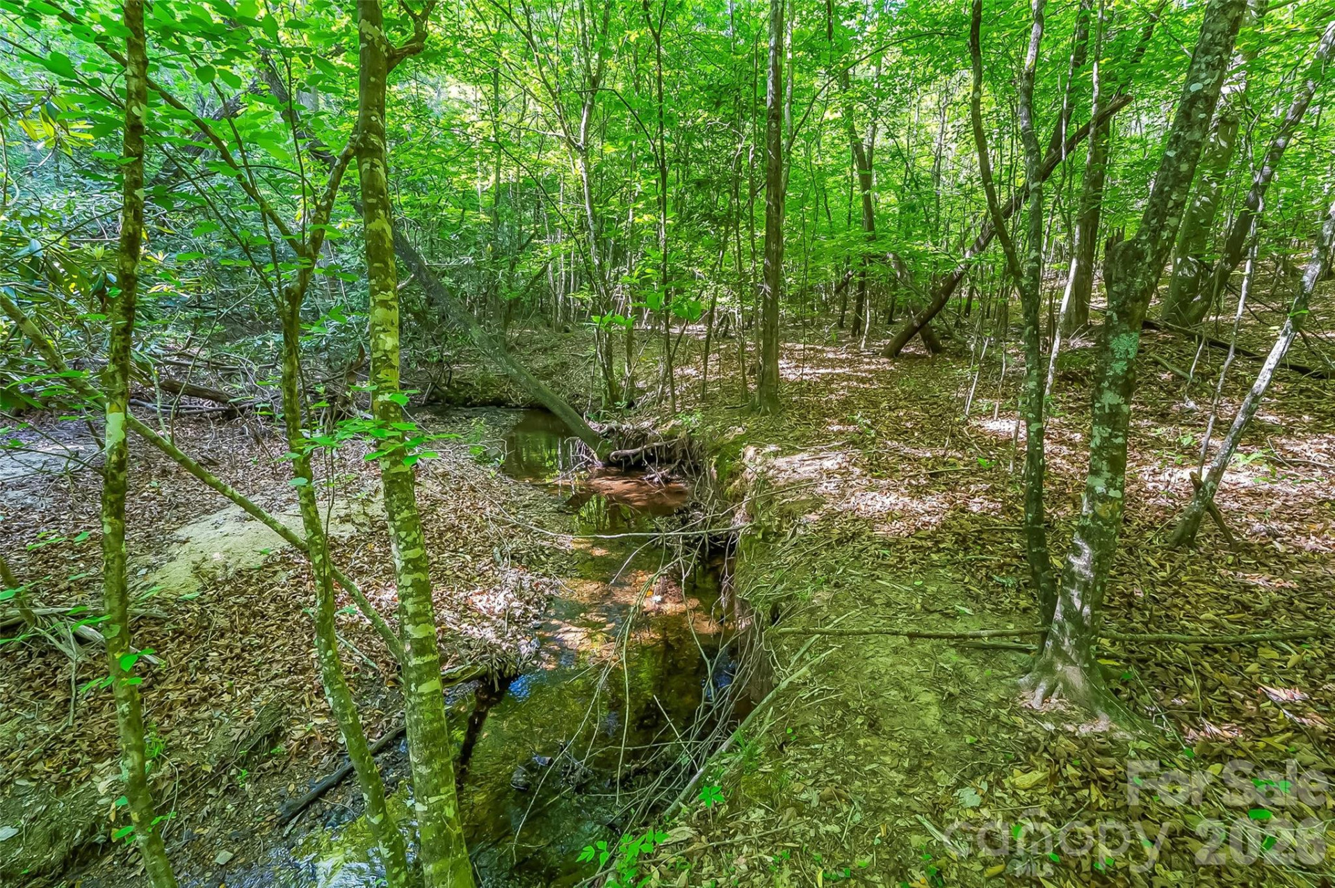 3495 Irish Hills Road #3 - Photo 19