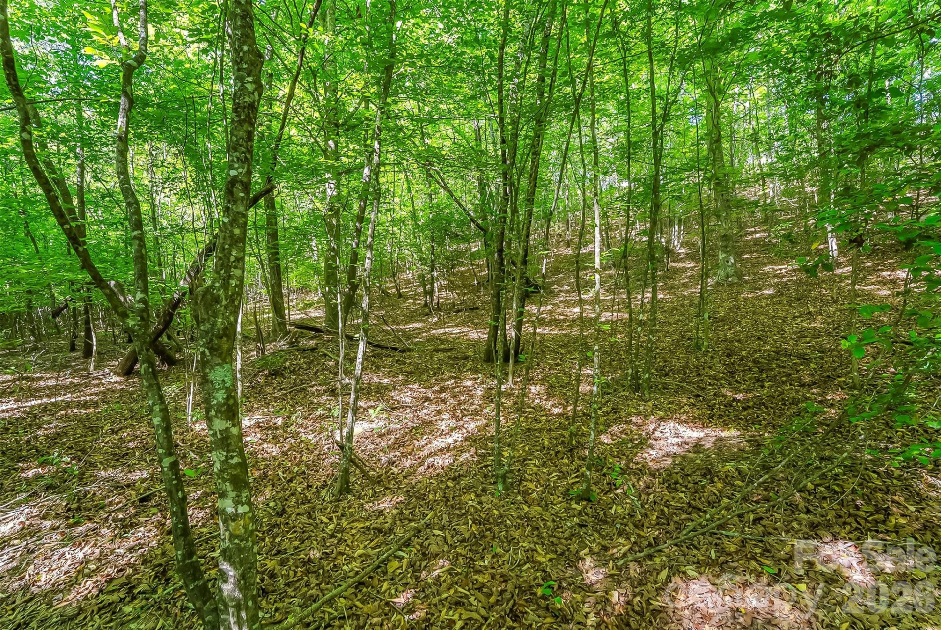 3495 Irish Hills Road #3 - Photo 20