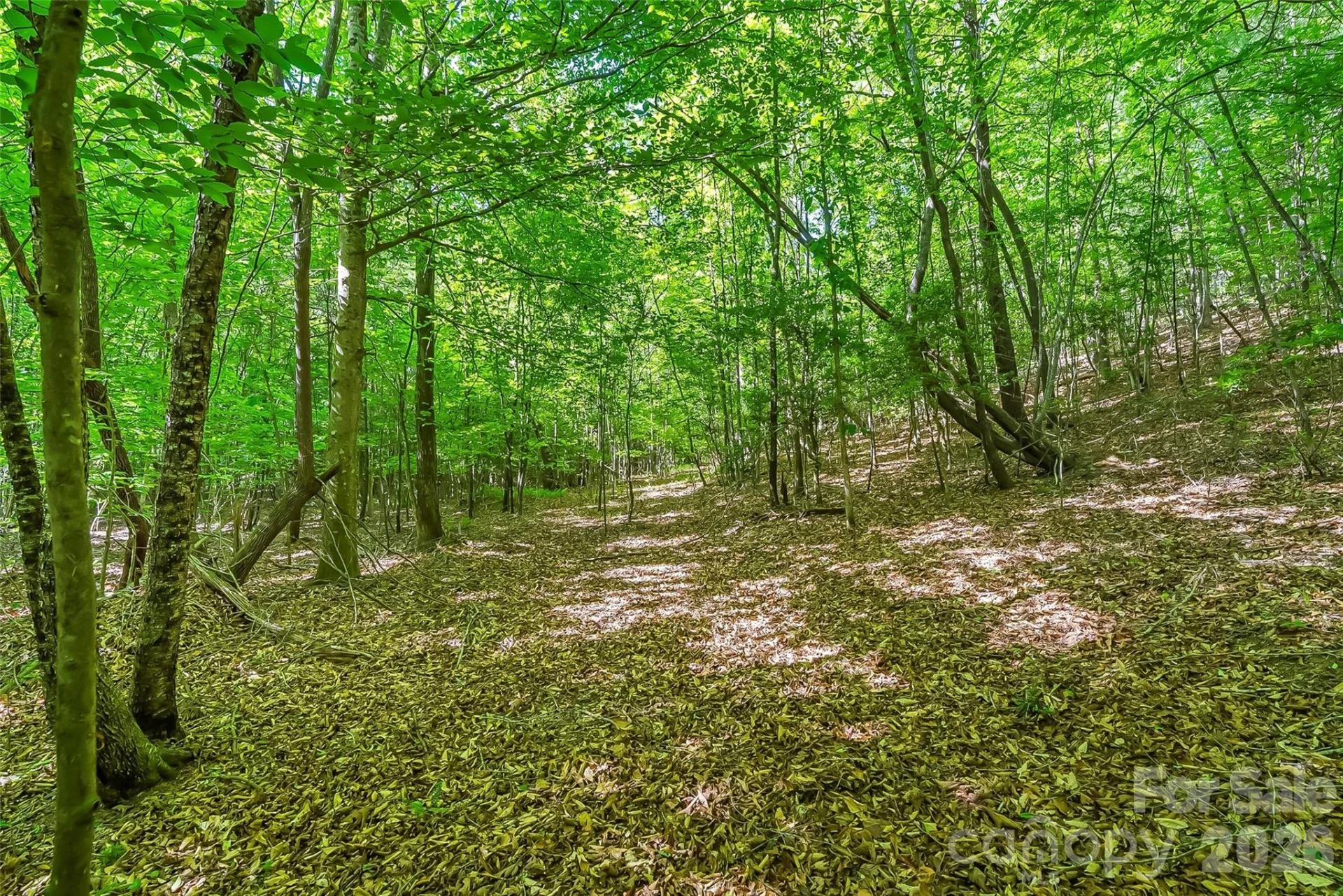 3495 Irish Hills Road #3 - Photo 21