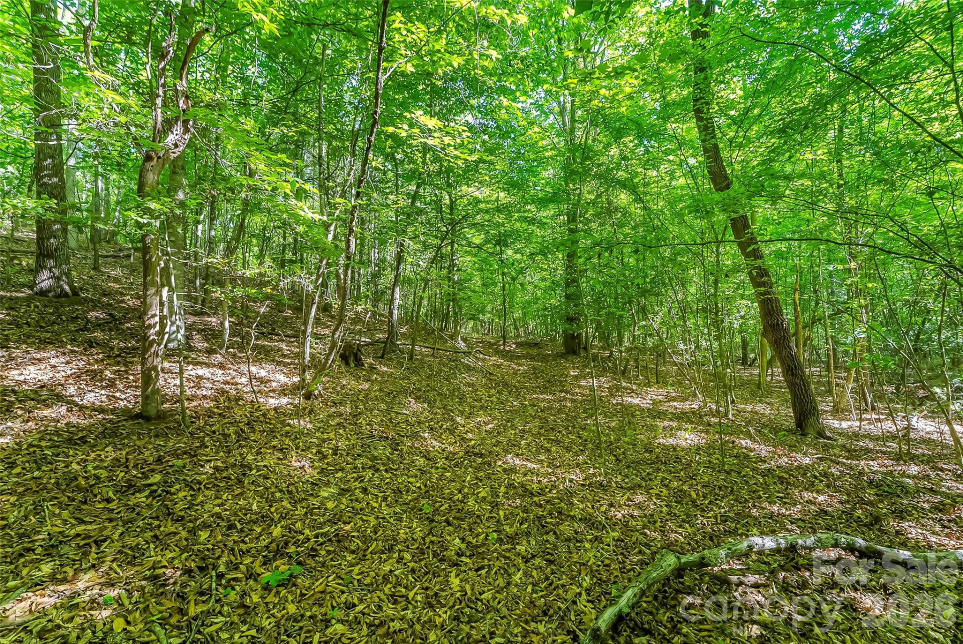 3495 Irish Hills Road #3 - Photo 22