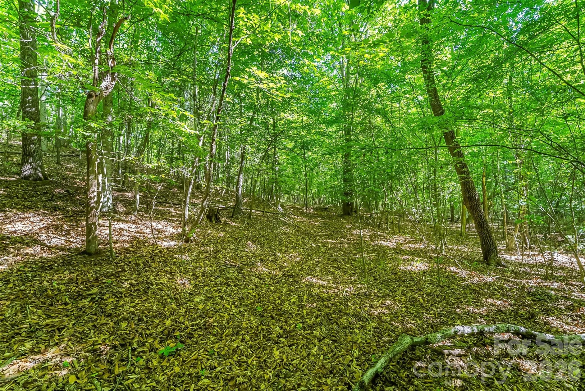 3495 Irish Hills Road #3 - Photo 22