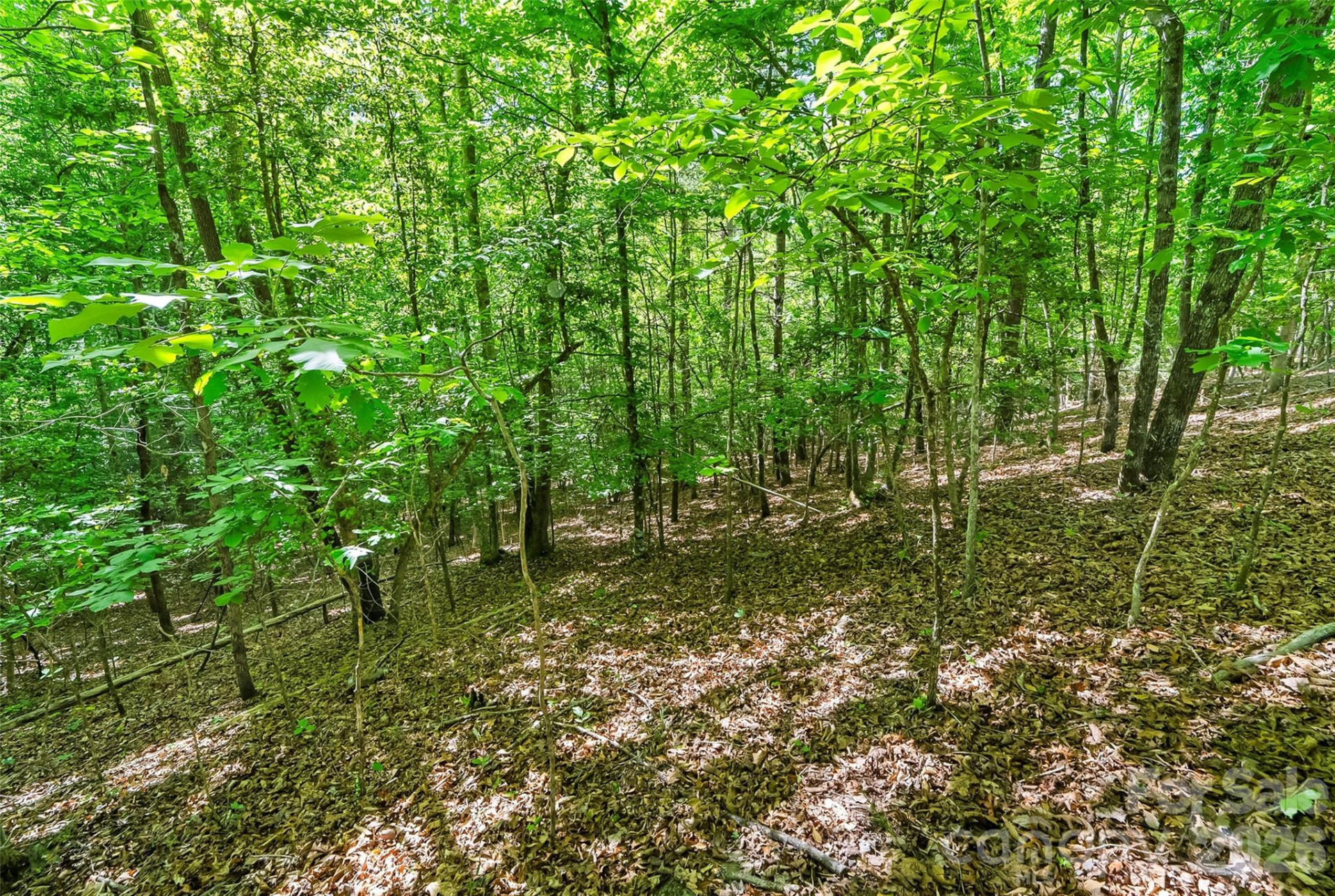 3495 Irish Hills Road #3 - Photo 23
