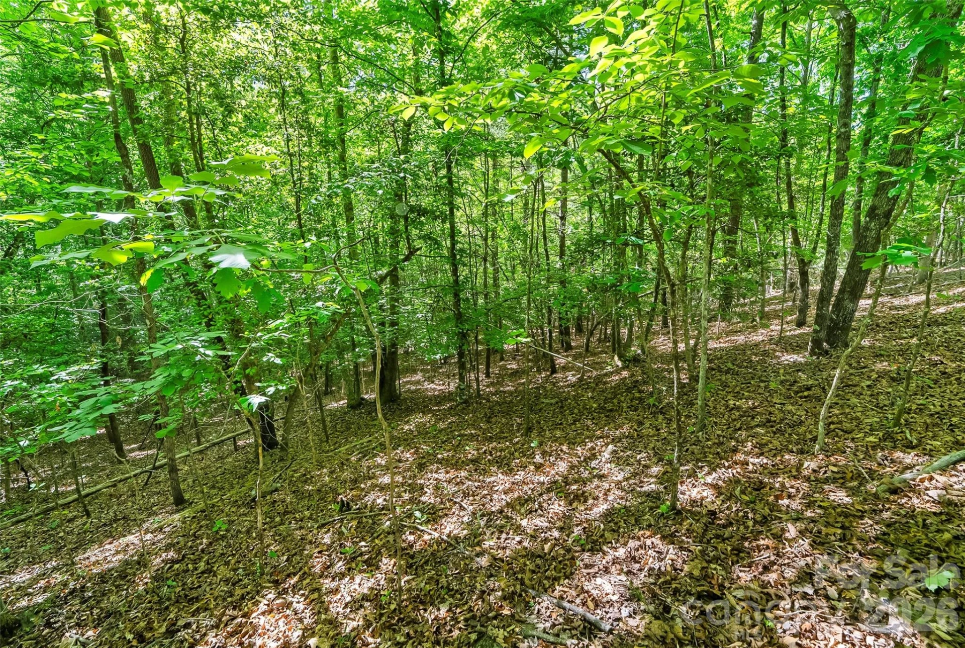 3495 Irish Hills Road #3 - Photo 23