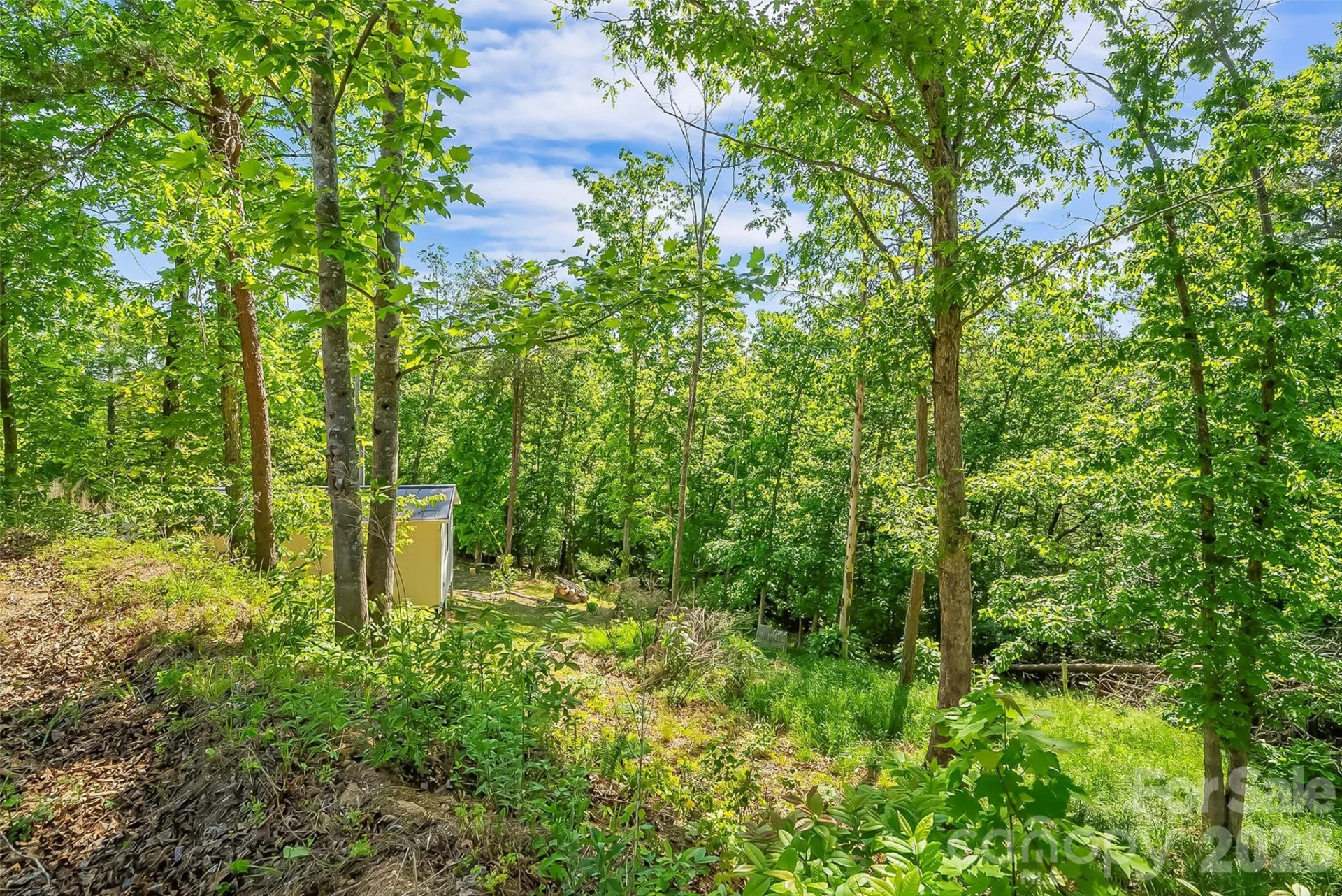 3495 Irish Hills Road #3 - Photo 26