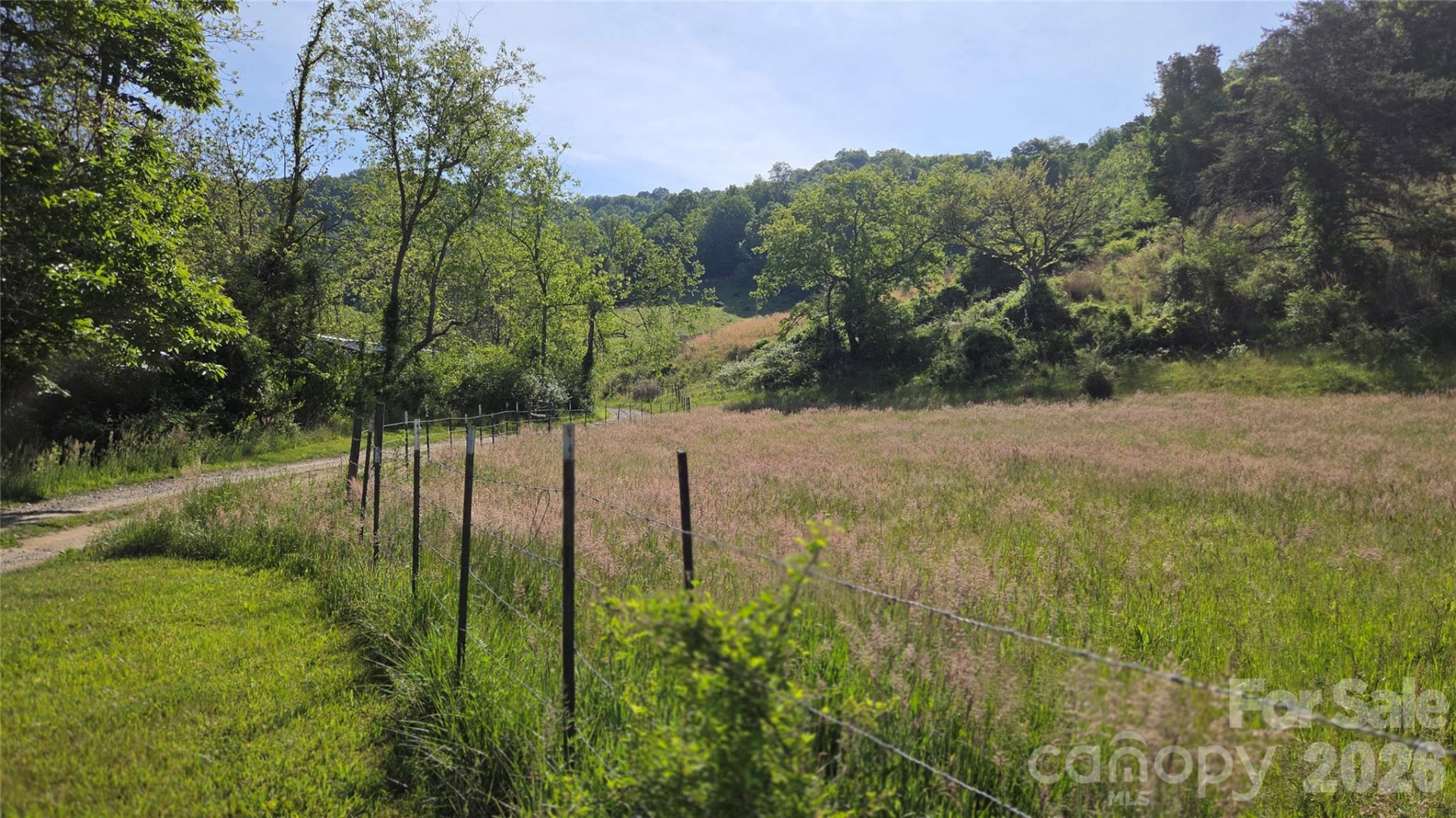 407 Spicewood Trail
