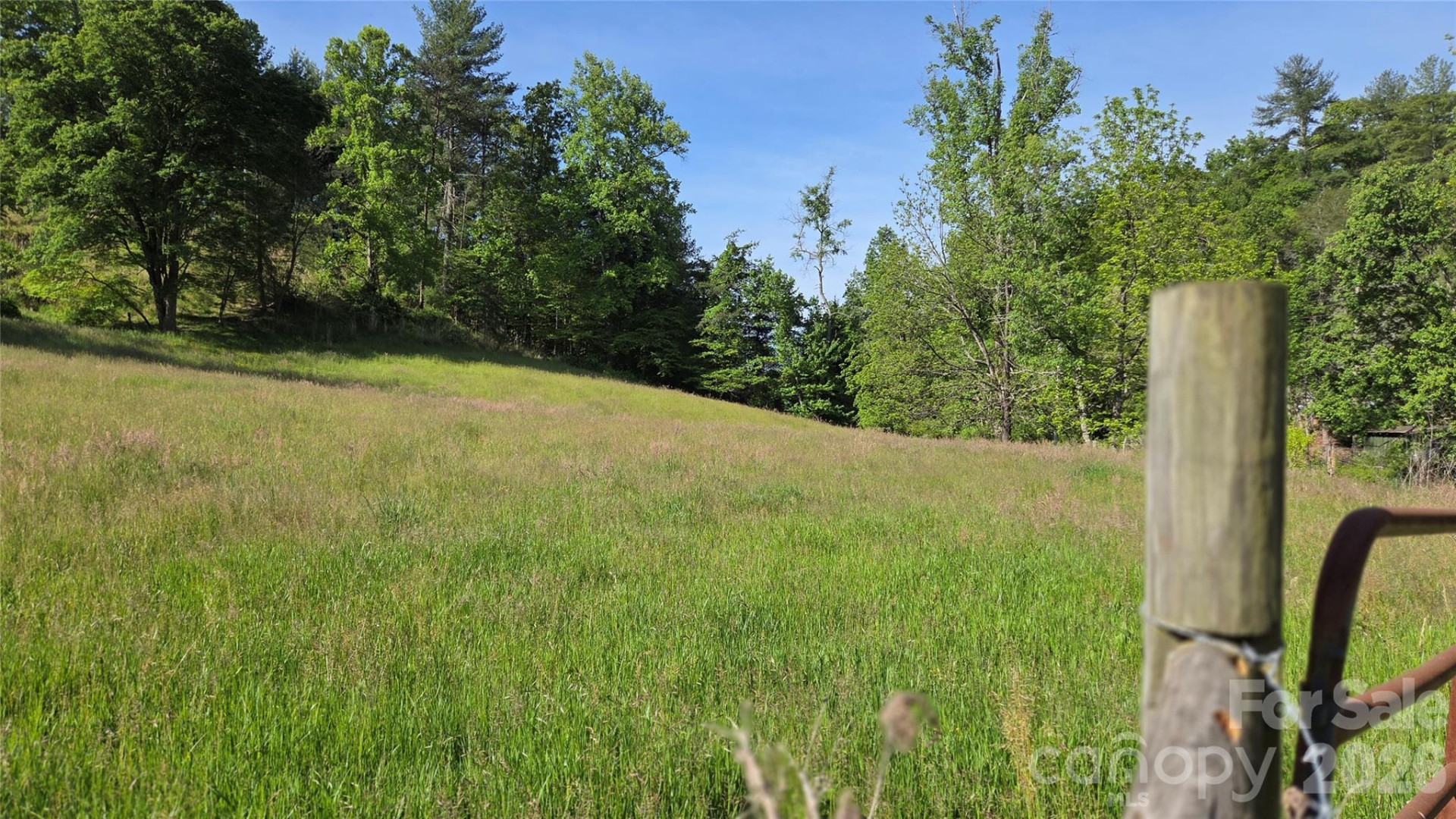 407 Spicewood Trail - Photo 2