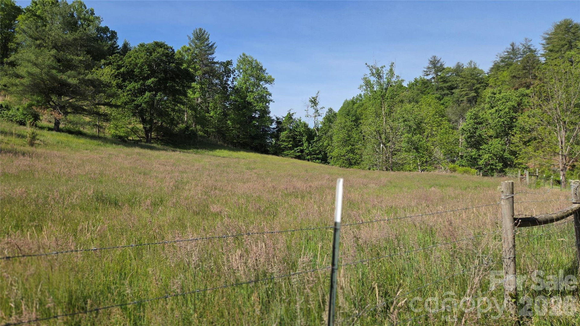 407 Spicewood Trail - Photo 11