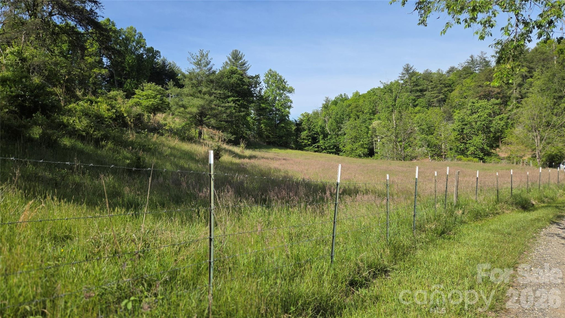 407 Spicewood Trail - Photo 12