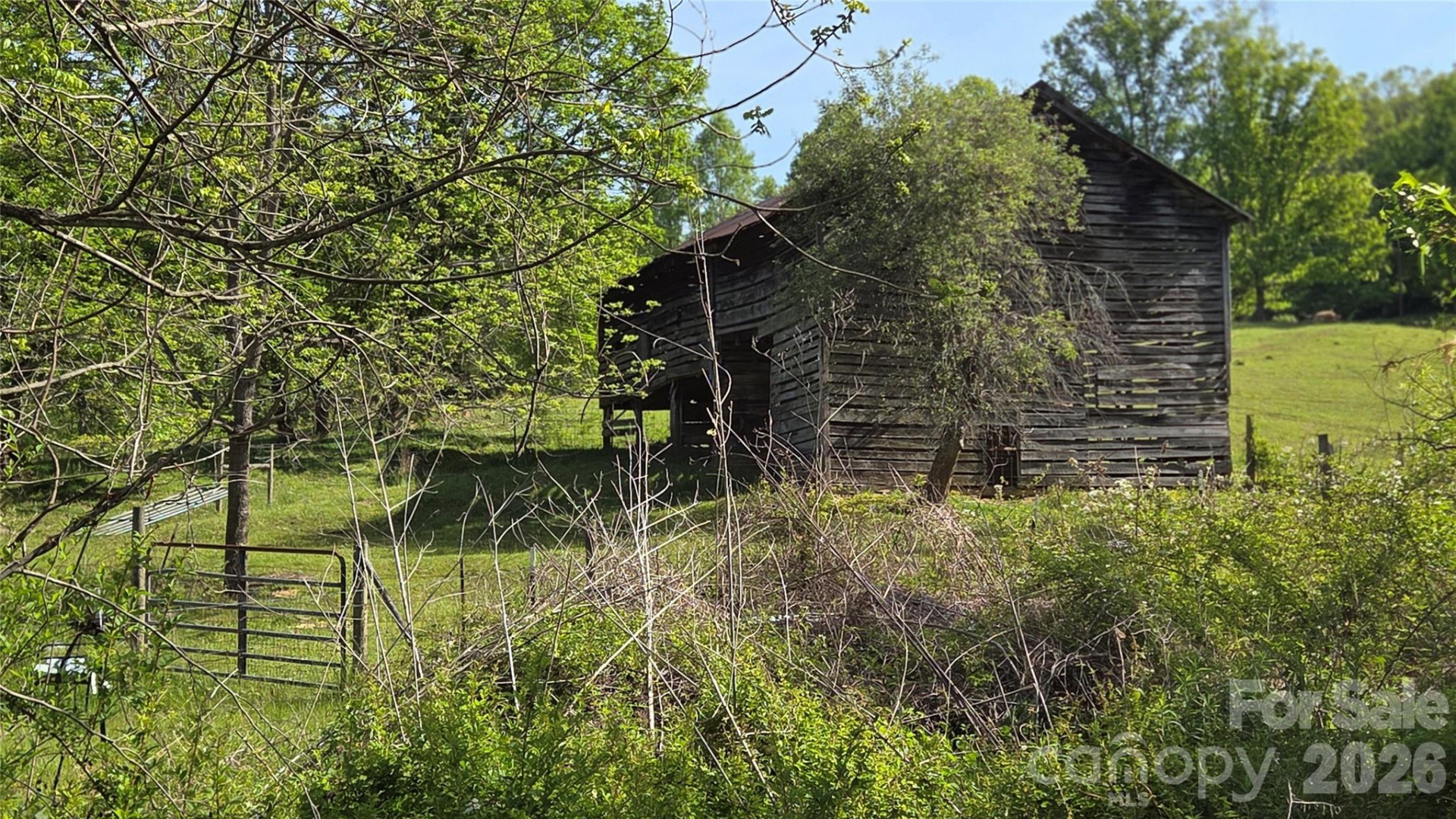 407 Spicewood Trail - Photo 13