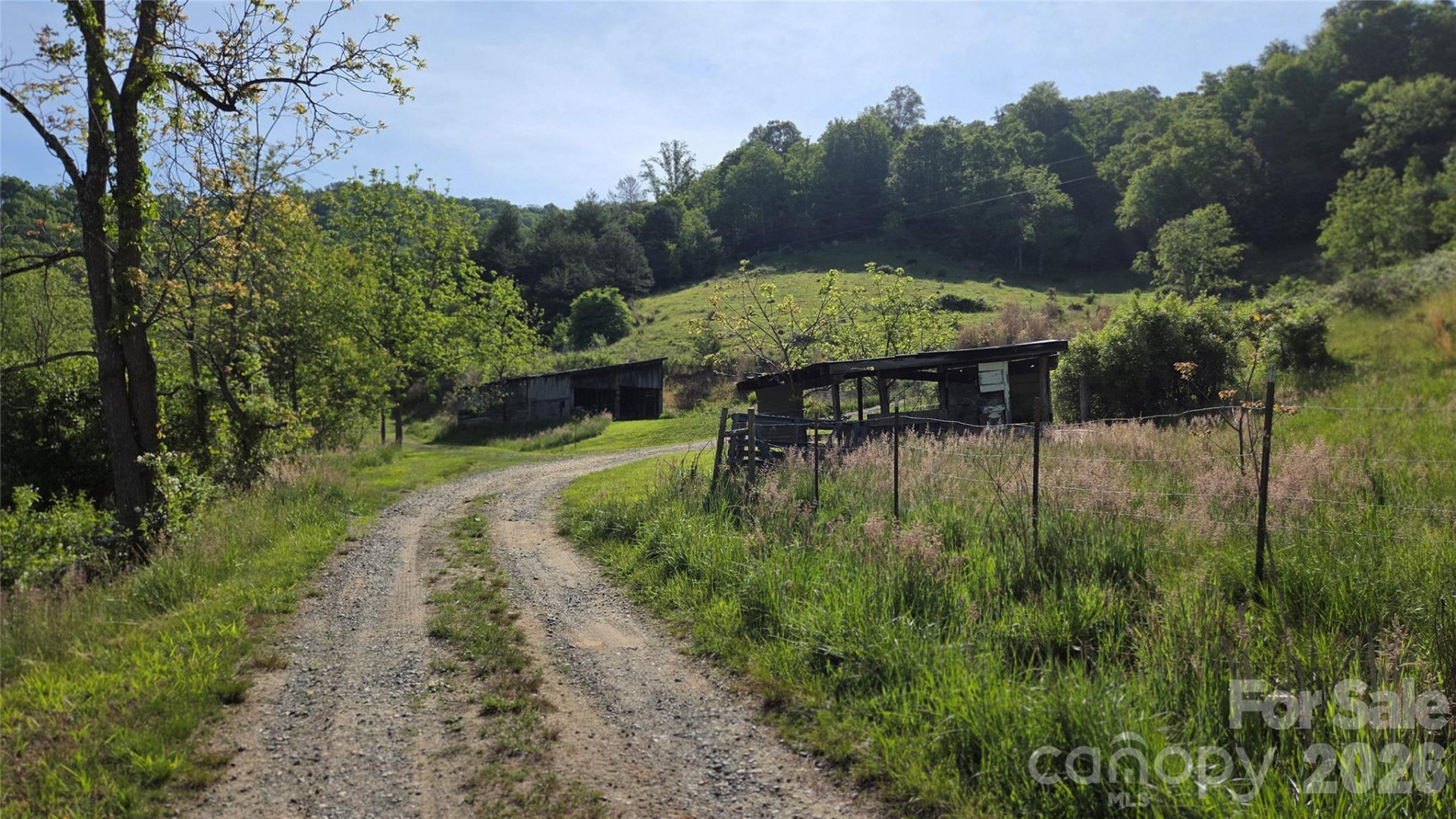 407 Spicewood Trail - Photo 14