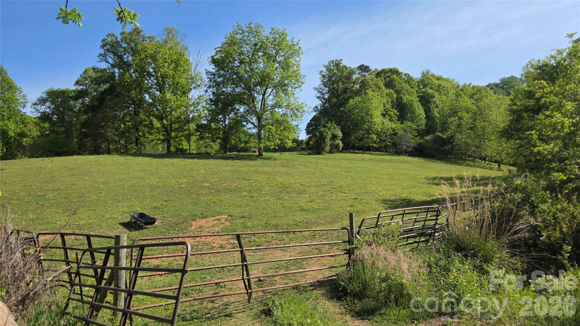 407 Spicewood Trail - Photo 15