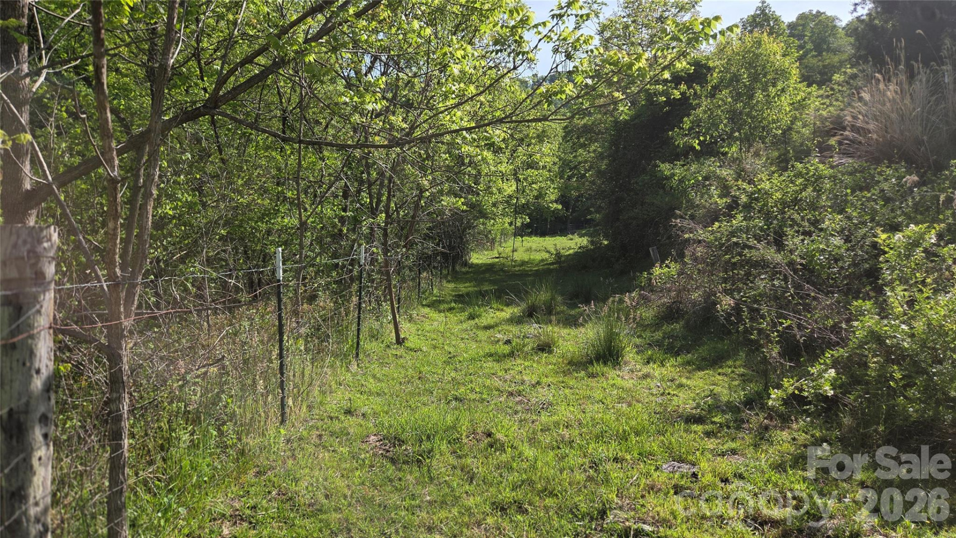 407 Spicewood Trail - Photo 17