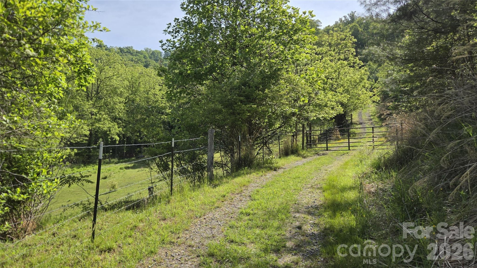407 Spicewood Trail - Photo 19