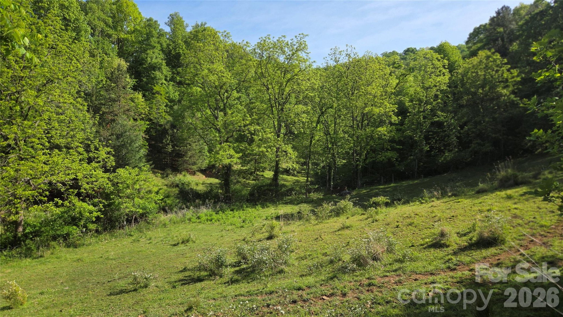 407 Spicewood Trail - Photo 20