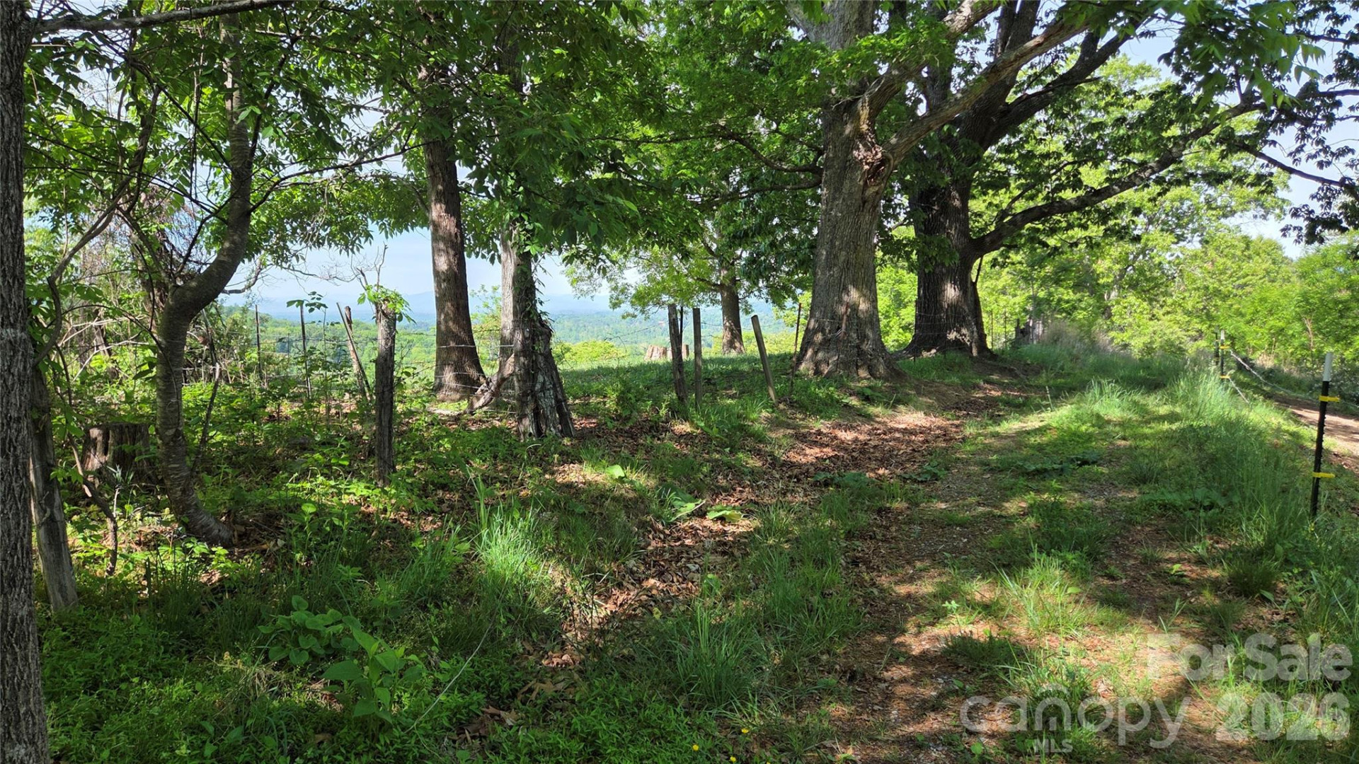 407 Spicewood Trail - Photo 21