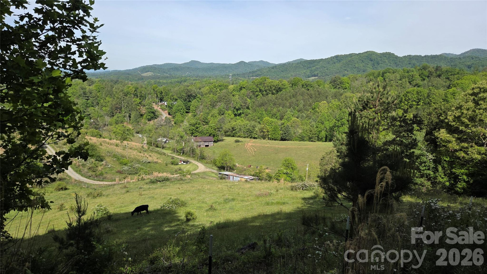 407 Spicewood Trail - Photo 23