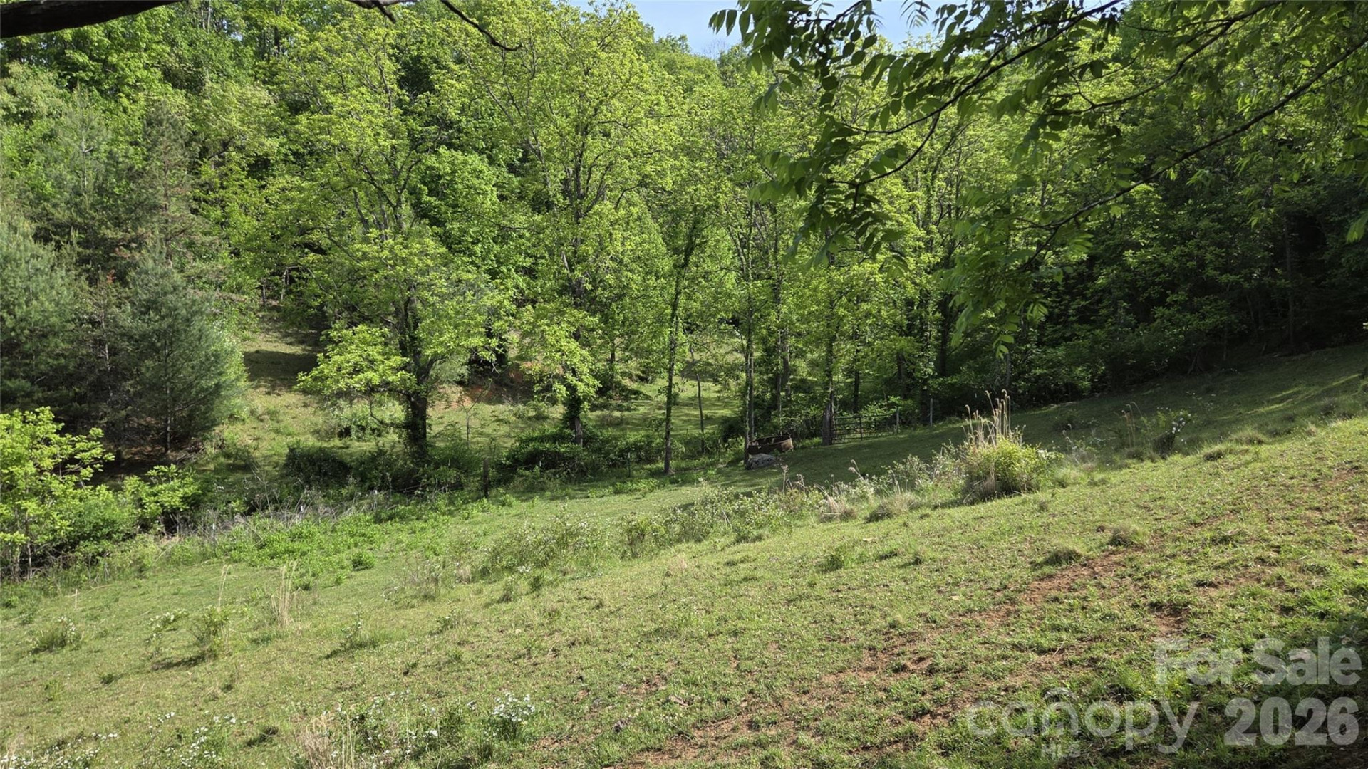 407 Spicewood Trail - Photo 26