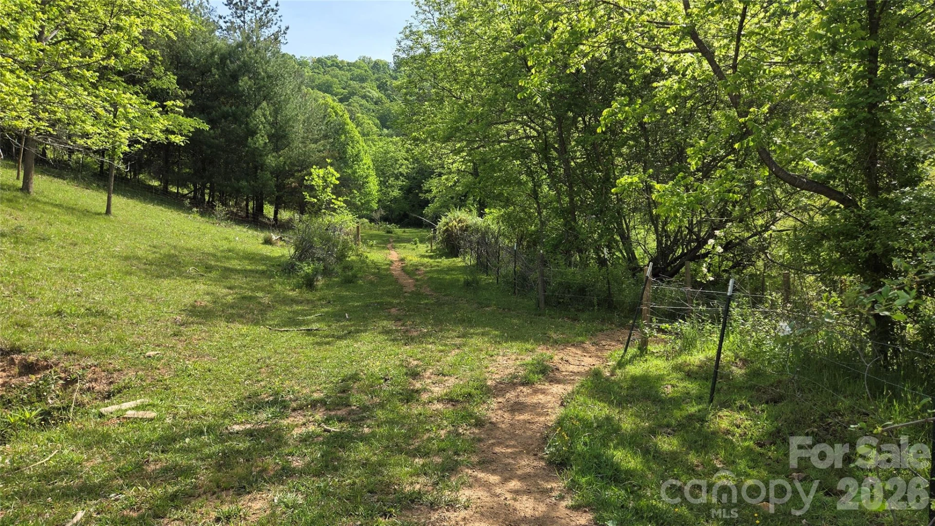 407 Spicewood Trail - Photo 37
