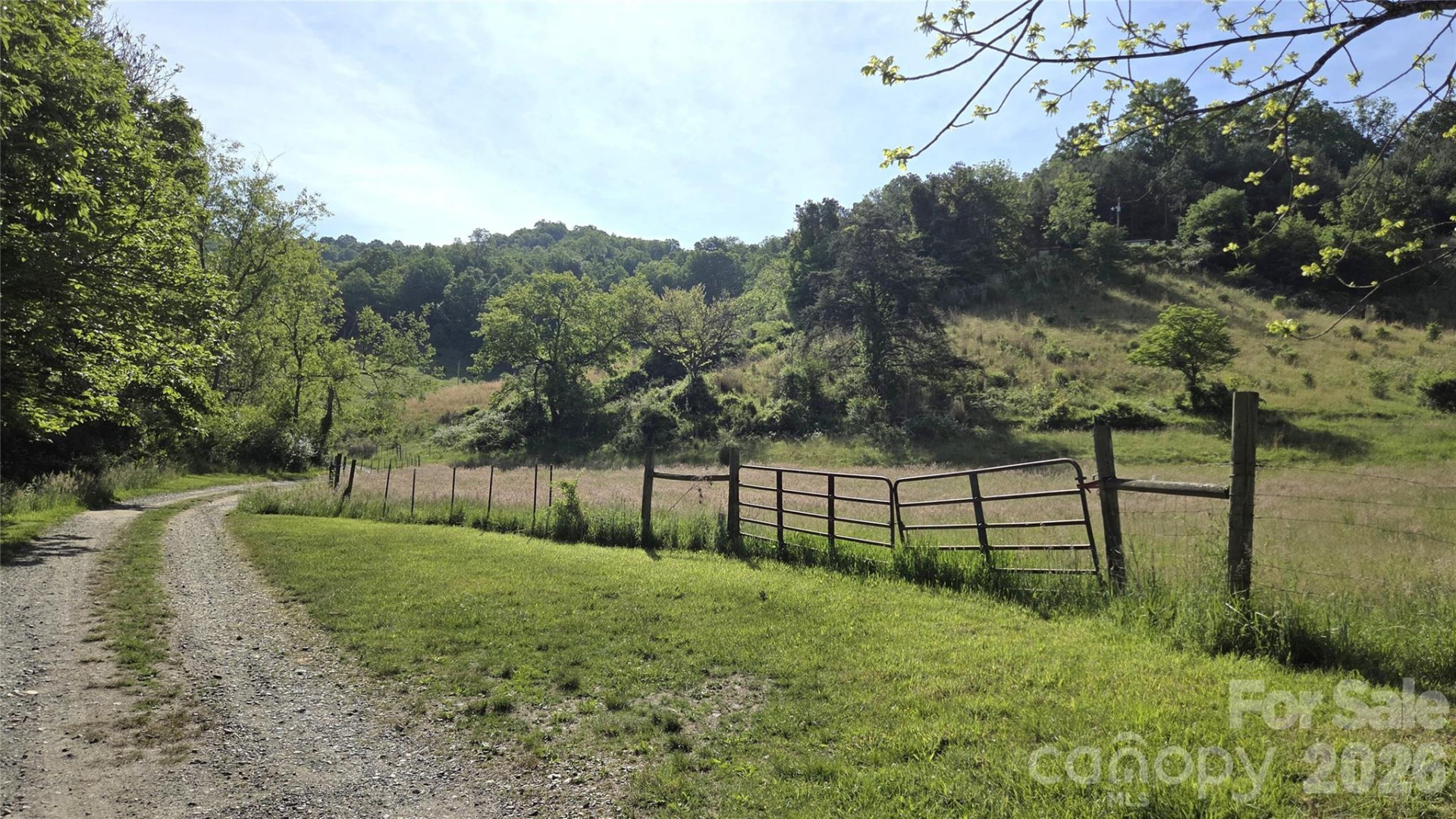 407 Spicewood Trail - Photo 8