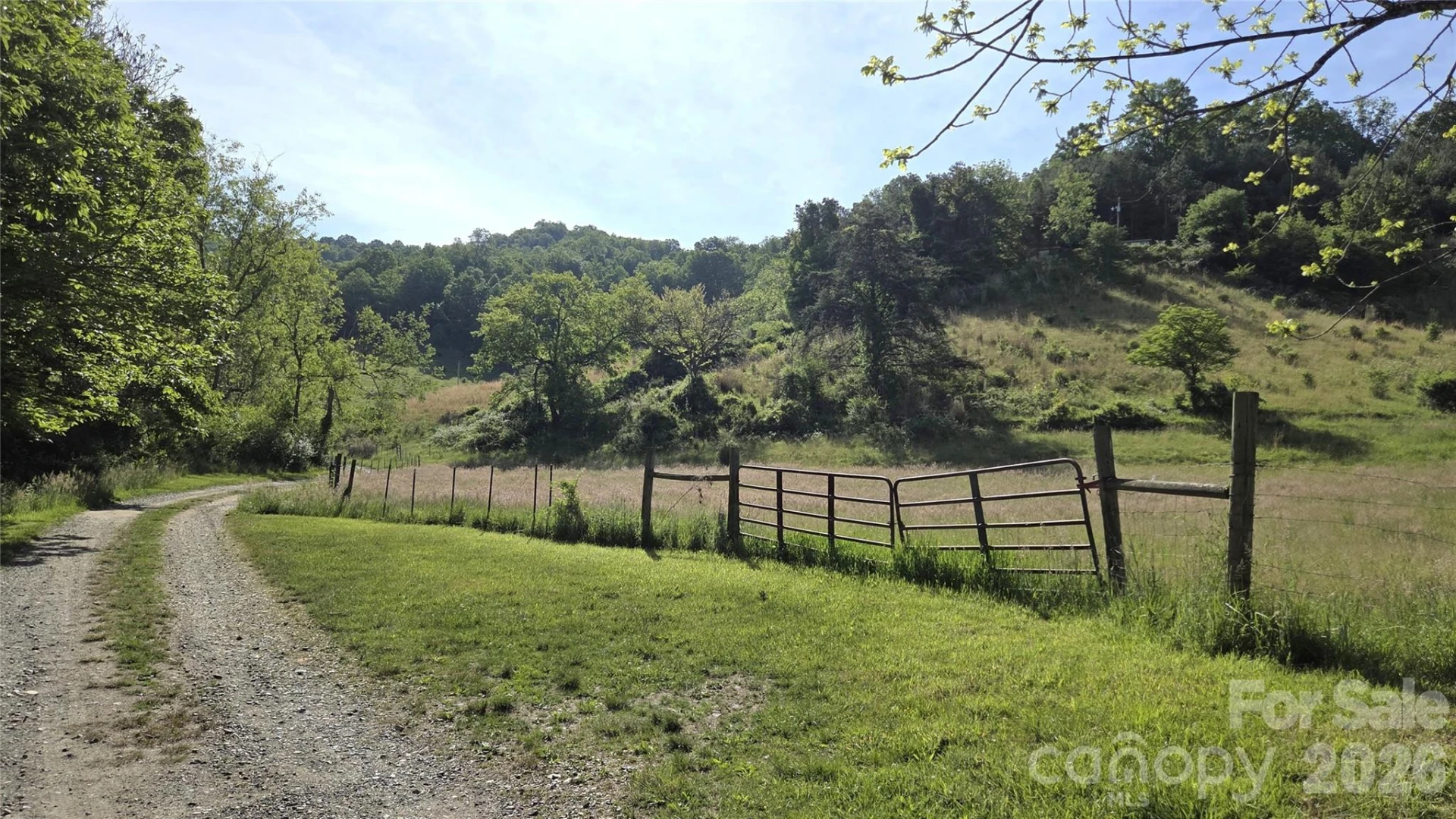 407 Spicewood Trail - Photo 7