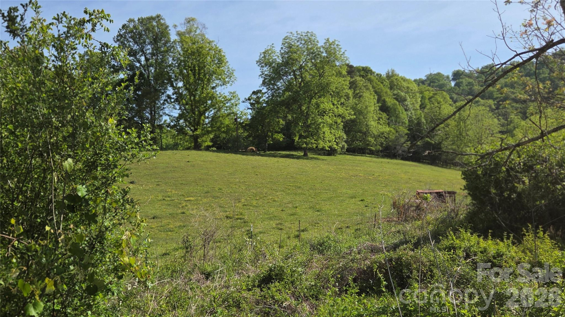 407 Spicewood Trail - Photo 10