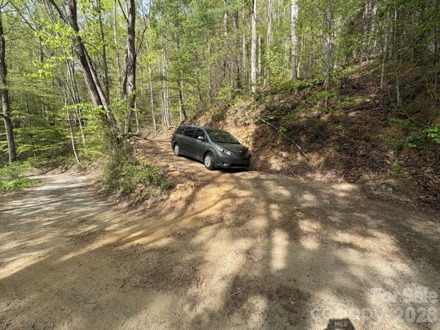 999999 Harwood Road, Barnardsville, NC, 28709