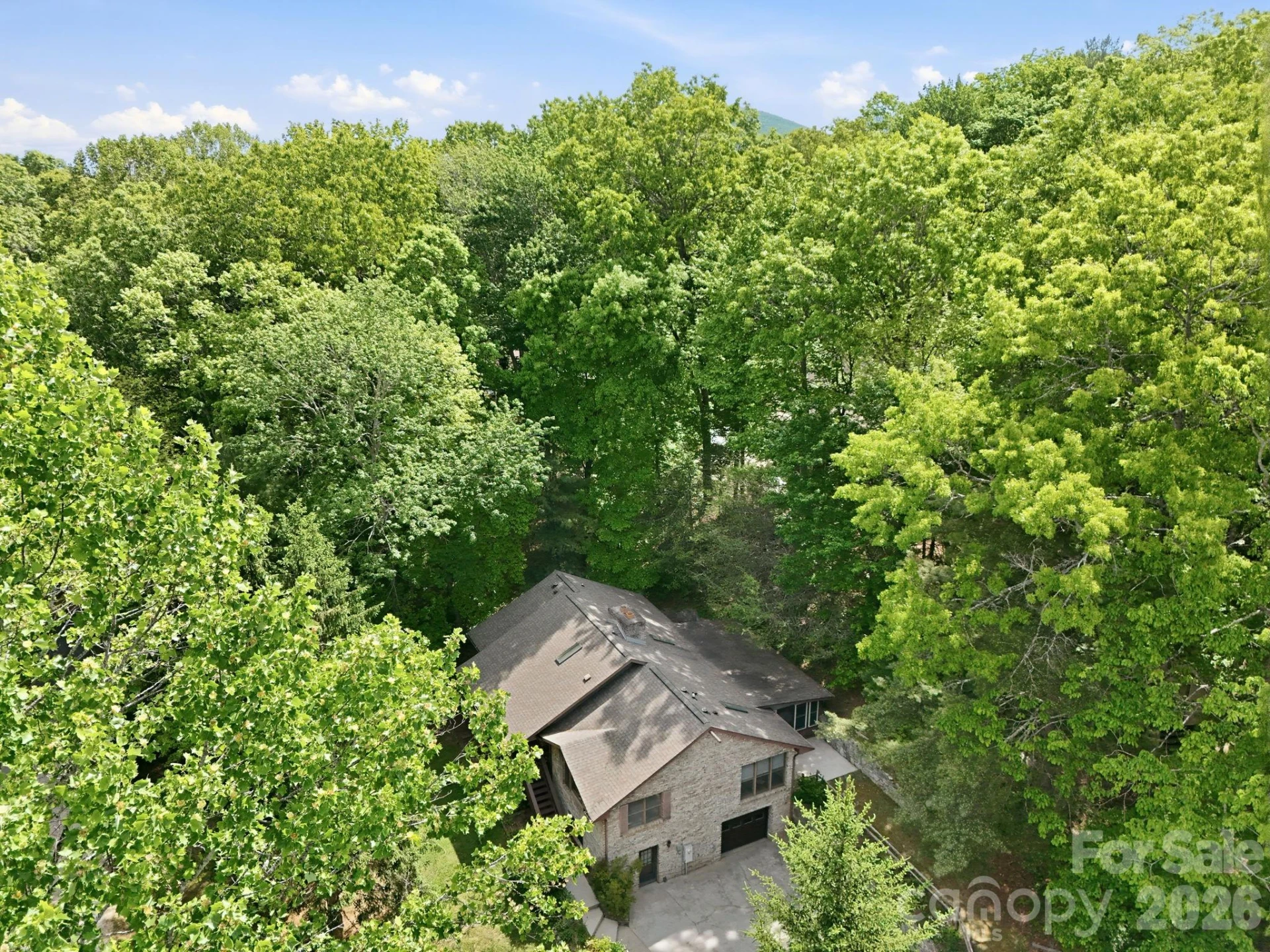1 Mountain Heritage Place - Photo 46