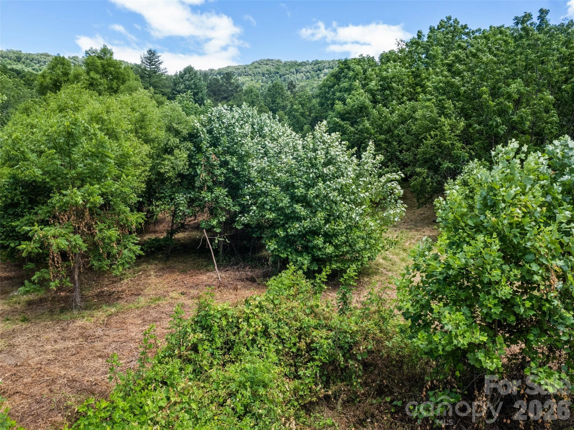 9999 Lollis Road - Photo 11