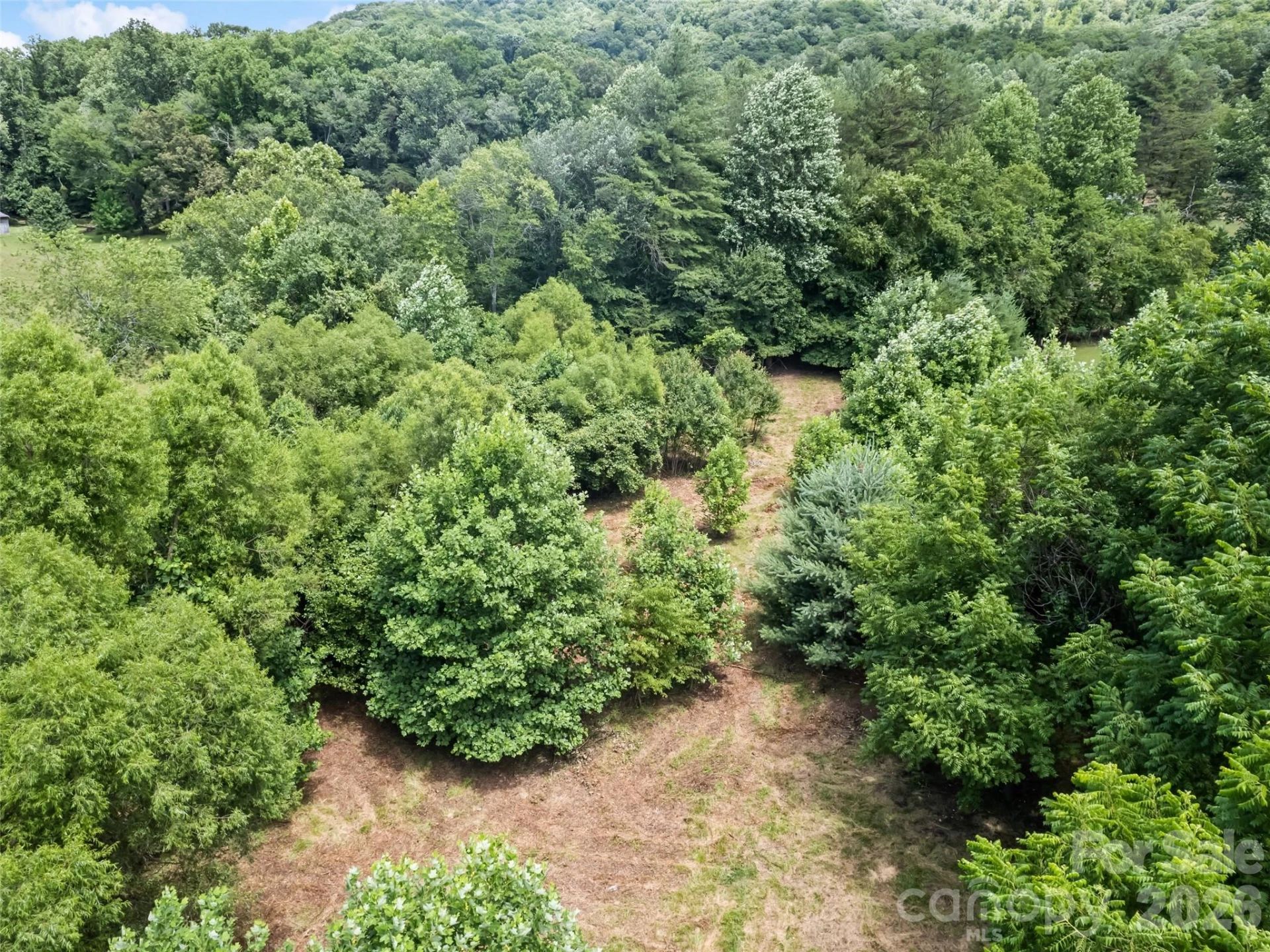 9999 Lollis Road - Photo 13