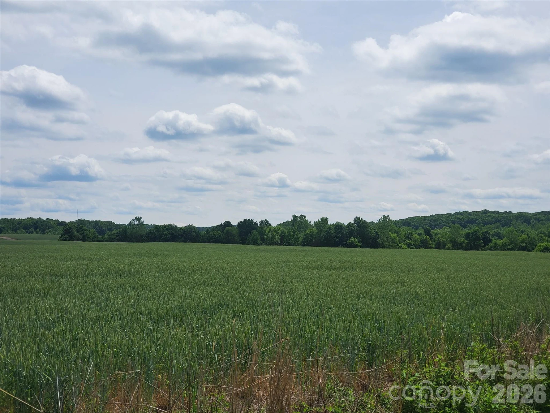 0 Porter Drive #16 - Photo 5