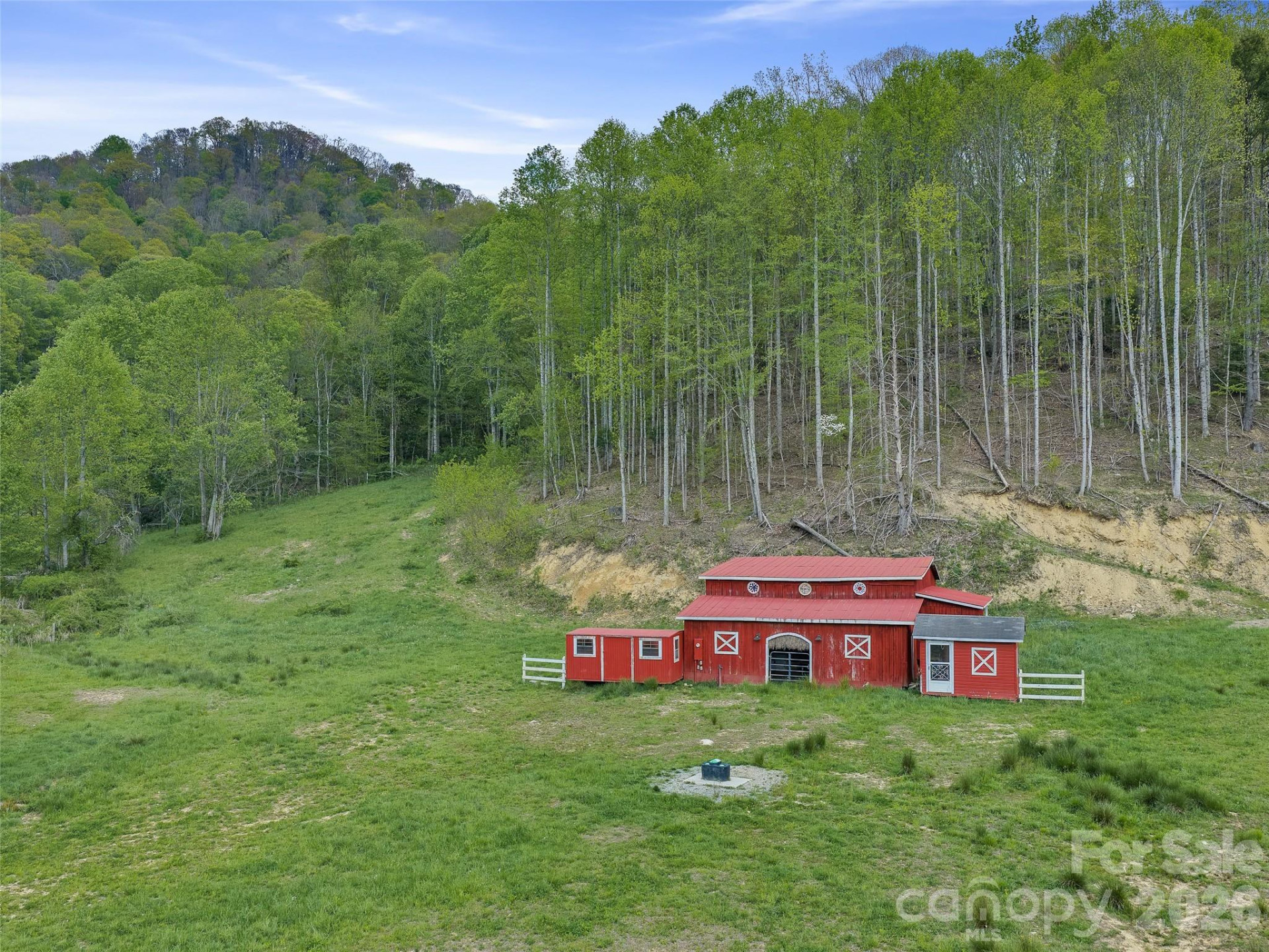 0 Odoms Chapel Road - Photo 22